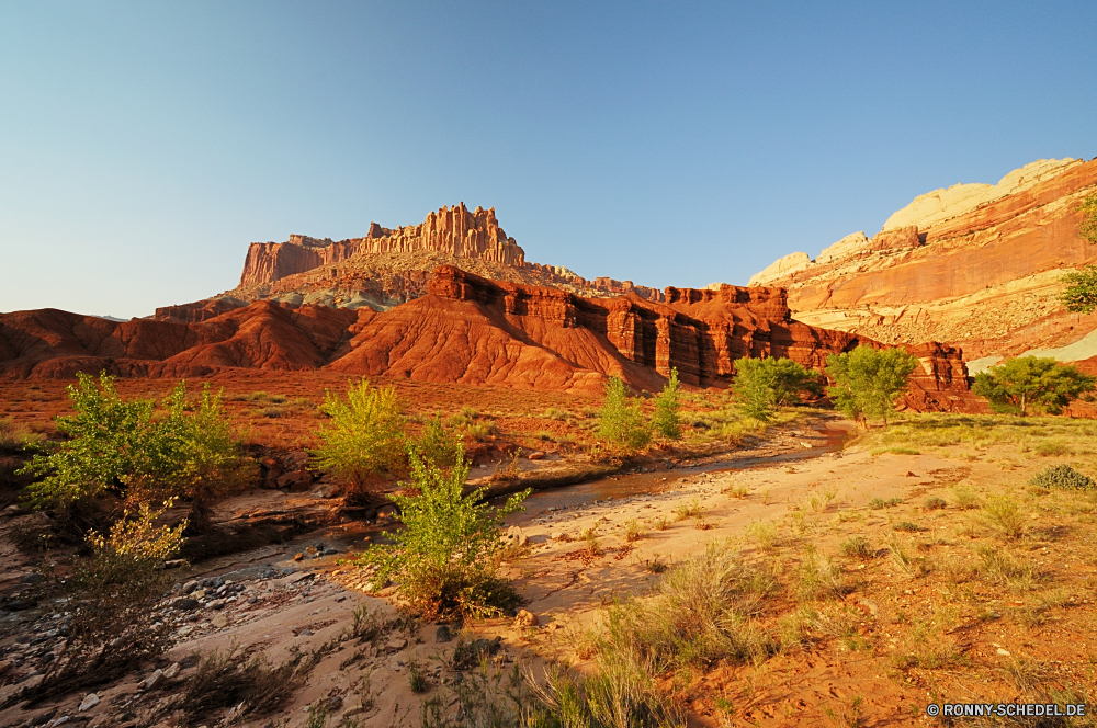 Capitol Reef National Park Schlucht Wüste Tal Fels Park Landschaft nationalen Berg Schlucht Reisen Himmel Sandstein Klippe Stein Südwesten Berge Aushöhlung Tourismus landschaftlich Felsen Sand Baum Wildnis im freien Wolken Urlaub im freien Bildung Geologie Orange natürliche depression Westen Szenerie natürliche Wandern geologische Formationen Bögen Grand Aussicht Mesa Tourist Abenteuer Fluss Wahrzeichen Straße Felge Wunder Pflanze Bäume Landschaften trocken Arid Ehrfurcht Wasser Sommer Butte Schloss Sonnenuntergang Erholung Umgebung Spitze Sonne Wolke Süden Denkmal Hügel Panorama Reise Land gelb Gelände westliche felsigen Busch bunte Urlaub Hochland friedliche Horizont Bereich Kaktus Welt Plateau herrliche Klippen Wild Mauer Staaten Boden Bereich Pfad Hügel Backstein Licht Land Farbe Wald canyon desert valley rock park landscape national mountain ravine travel sky sandstone cliff stone southwest mountains erosion tourism scenic rocks sand tree wilderness outdoors clouds vacation outdoor formation geology orange natural depression west scenery natural hiking geological formations arches grand vista mesa tourist adventure river landmark road rim wonder plant trees scenics dry arid awe water summer butte castle sunset recreation environment peak sun cloud south monument hills panoramic trip land yellow terrain western rocky bush colorful vacations highland peaceful horizon range cactus world plateau magnificent cliffs wild wall states soil area path hill brick light country color forest