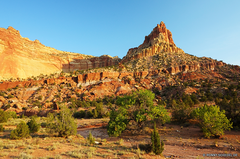 Capitol Reef National Park Schlucht Wüste Reisen Fels Landschaft Tempel Himmel Park Stein Berg nationalen Sandstein Tourismus Antike Wolken Felsen im freien Aushöhlung Berge Sand Architektur Tal landschaftlich im freien Gebäude Wahrzeichen Urlaub Südwesten Backstein Wildnis Hochland Geschichte Westen Klippe Bildung Geologie Denkmal Struktur Tourist Wandern Baum Schloss Mauer natürliche alt Szenerie Fluss Kaktus geologische Bäume Orange berühmte Kultur Formationen Arid Palast Turm Schlucht Mesa Felge Wunder Religion traditionelle Schrein historischen Grand in der Nähe Landschaften Ziegeldach Hügel Ziel trocken aussenansicht Sonnenuntergang Pflanze Spitze majestätisch Dach Abenteuer Baumaterial Sonne Bögen Ruine Hügel Wolke Pfad Haus historische Platz Sommer Bereich Straße Welt Entwicklung des ländlichen Butte Pagode Befestigung Aussicht sonnig Wanderweg Reiseziele Panorama Süden Stadt Osten Schutzüberzug Land Festung Lineal Gras Land canyon desert travel rock landscape temple sky park stone mountain national sandstone tourism ancient clouds rocks outdoors erosion mountains sand architecture valley scenic outdoor building landmark vacation southwest brick wilderness highland history west cliff formation geology monument structure tourist hiking tree castle wall natural old scenery river cactus geological trees orange famous culture formations arid palace tower ravine mesa rim wonder religion traditional shrine historic grand near scenics tile roof hill destination dry exterior sunset plant peak majestic roof adventure building material sun arches ruin hills cloud path house historical place summer range road world rural butte pagoda fortification vista sunny trail destinations panoramic south city east protective covering land fortress ruler grass country