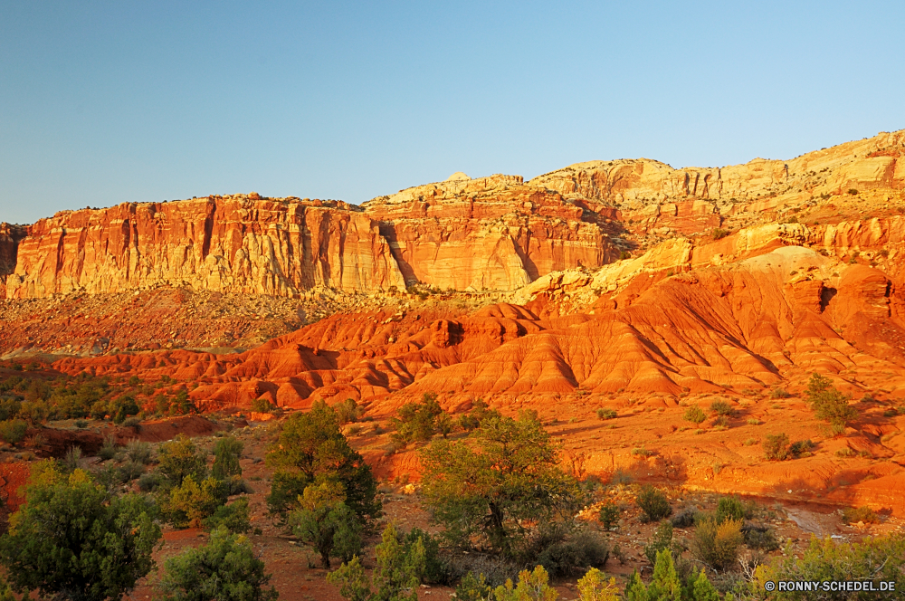 Capitol Reef National Park Schlucht Schlucht Tal natürliche depression Park Landschaft Fels nationalen Wüste Berg Reisen Aushöhlung Geologie Berge Südwesten Stein landschaftlich Himmel Orange Sand im freien Felsen Grand Felge Urlaub Wahrzeichen Klippe Tourismus Wolken im freien Sandstein Wandern Baum geologische Bildung Tourist Westen Fluss Abenteuer Mesa Wunder natürliche Szenerie Aussicht Wildnis Formationen Gelände Sonnenuntergang Welt Süden trocken bunte Nationalpark Arid Umgebung Bäume gelb zeigen Szene Horizont Bereich Wolke Licht Farbe felsigen Zustand Sommer Pflanze Grand canyon Klippen Bögen sonnig westliche außerhalb Extreme einzigartige Rosa Bereich canyon ravine valley natural depression park landscape rock national desert mountain travel erosion geology mountains southwest stone scenic sky orange sand outdoors rocks grand rim vacation landmark cliff tourism clouds outdoor sandstone hiking tree geological formation tourist west river adventure mesa wonder natural scenery vista wilderness formations terrain sunset world south dry colorful national park arid environment trees yellow point scene horizon area cloud light color rocky state summer plant grand canyon cliffs arches sunny western outside extreme unique pink range