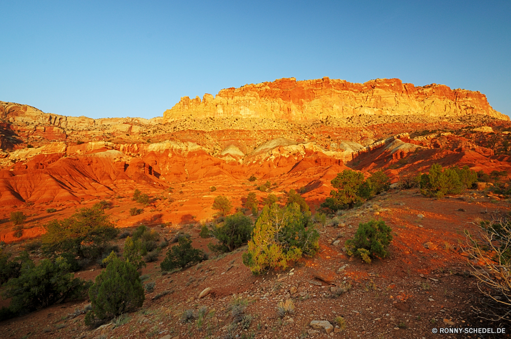 Capitol Reef National Park Schlucht Schlucht Tal Landschaft Berg Park Wüste Fels nationalen natürliche depression Himmel Reisen Aushöhlung landschaftlich Berge Felsen Klippe Geologie Stein Tourismus im freien Urlaub Baum Orange Felge Südwesten Sand Wolken Westen Wandern im freien Grand geologische Abenteuer Bereich Wahrzeichen Tourist Mesa Fluss Bildung Szenerie Sandstein Wunder Wildnis Welt Süden natürliche Aussicht Sonnenuntergang Wolke gelb Bäume Szene Licht fallen Umgebung Herbst Wald bunte Arid Bereich Farbe Pflanze Sommer Saison Hochland Straße Gelände Sonne Zustand Land trocken Erholung Spitze Boden Sonnenaufgang Hügel Belaubung Horizont Wasser sonnig westliche felsigen außerhalb zeigen Dämmerung Reise Ziel canyon ravine valley landscape mountain park desert rock national natural depression sky travel erosion scenic mountains rocks cliff geology stone tourism outdoors vacation tree orange rim southwest sand clouds west hiking outdoor grand geological adventure range landmark tourist mesa river formation scenery sandstone wonder wilderness world south natural vista sunset cloud yellow trees scene light fall environment autumn forest colorful arid area color plant summer season highland road terrain sun state land dry recreation peak ground sunrise hill foliage horizon water sunny western rocky outside point dusk trip destination