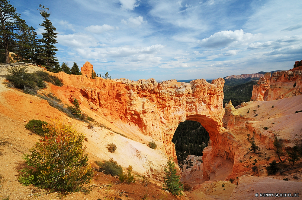 Bryce Canyon National Park Schlucht Fels Wüste nationalen Landschaft Park Aushöhlung Tal Reisen Backstein Berg Stein Geologie Himmel Cliff-Wohnung landschaftlich Berge Südwesten Felsen Ringwall Klippe Sand Wohnung im freien Tourismus Felge Baumaterial Westen Wolken Grand Wandern Orange Schlucht Urlaub Wahrzeichen Baum Sandstein im freien Mesa geologische Gehäuse Fluss Wunder Struktur Bildung Tourist Abenteuer natürliche depression Nationalpark Gebäude Schloss Szenerie Mauer Welt Wildnis Süden natürliche Antike trocken Architektur Bögen alt Formationen Aussicht Sommer Bäume Arid Haus Gelände Bogen westliche felsigen Befestigung Hügel Denkmal Palast Geschichte Butte robuste Klippen sonnig Wanderweg Stadt aussenansicht historischen gelb Sonnenuntergang Festung canyon rock desert national landscape park erosion valley travel brick mountain stone geology sky cliff dwelling scenic mountains southwest rocks rampart cliff sand dwelling outdoors tourism rim building material west clouds grand hiking orange ravine vacation landmark tree sandstone outdoor mesa geological housing river wonder structure formation tourist adventure natural depression national park building castle scenery wall world wilderness south natural ancient dry architecture arches old formations vista summer trees arid house terrain arch western rocky fortification hill monument palace history butte rugged cliffs sunny trail city exterior historic yellow sunset fortress