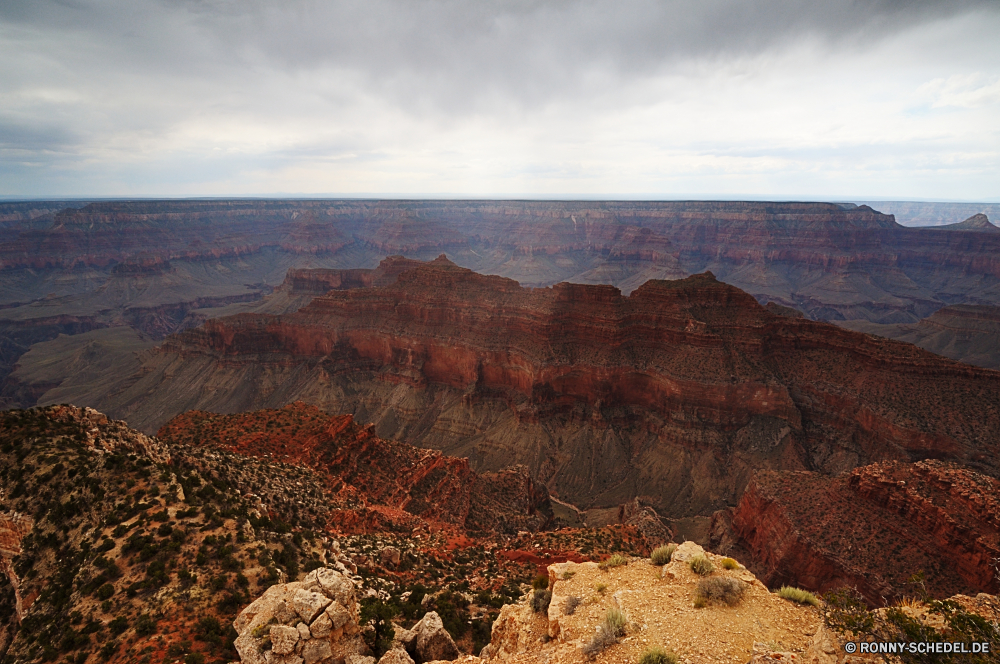 Grand Canyon National Park - North Rim Schlucht Schlucht Tal natürliche depression Wüste Felge Fels Landschaft Berg Park Grand nationalen Reisen Berge Klippe Aushöhlung landschaftlich Sand Geologie Tourismus Himmel Stein Felsen Urlaub Fluss Abenteuer im freien Südwesten Wandern Wolken Westen geologische Orange Wahrzeichen im freien Mesa Tourist Wunder Baum Welt Süden Krater geologische formation Bildung Sonnenuntergang Wolke Sandstein trocken Aussicht natürliche Szenerie Licht gelb Klippen Wildnis Sonnenaufgang Grand canyon Formationen Verwurzelung Arid Wasser bunte Erde friedliche Horizont Sonne Bögen Gelände majestätisch Landschaften zeigen Umgebung Sommer canyon ravine valley natural depression desert rim rock landscape mountain park grand national travel mountains cliff erosion scenic sand geology tourism sky stone rocks vacation river adventure outdoor southwest hiking clouds west geological orange landmark outdoors mesa tourist wonder tree world south crater geological formation formation sunset cloud sandstone dry vista natural scenery light yellow cliffs wilderness sunrise grand canyon formations desolate arid water colorful earth peaceful horizon sun arches terrain majestic scenics point environment summer