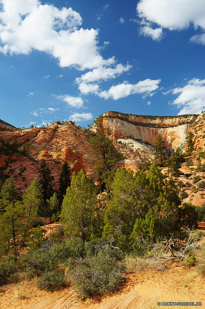 Zion National Park Schlucht Schlucht Tal Landschaft natürliche depression Berg Park Berge nationalen Fels landschaftlich Reisen Wüste Himmel Stein Wandern Fluss Tourismus Aushöhlung im freien Geologie Wolken Felsen Klippe Urlaub Baum Felge im freien Südwesten Orange Abenteuer Sand Tourist Grand geologische Wahrzeichen Westen Wunder Bäume Mesa Szenerie Welt Sommer Wildnis Wolke Sandstein Süden natürliche Wasser Herbst Wald Bildung Hügel Aussicht Hügel fallen Spitze Landschaft Sonnenuntergang Landschaften Mauer bunte Umgebung Entwicklung des ländlichen felsigen Ziel Straße Land Formationen Wanderung Szene sonnig Wanderweg Reise trocken friedliche Sonne Erholung canyon ravine valley landscape natural depression mountain park mountains national rock scenic travel desert sky stone hiking river tourism erosion outdoors geology clouds rocks cliff vacation tree rim outdoor southwest orange adventure sand tourist grand geological landmark west wonder trees mesa scenery world summer wilderness cloud sandstone south natural water autumn forest formation hill vista hills fall peak countryside sunset scenics wall colorful environment rural rocky destination road country formations hike scene sunny trail trip dry peaceful sun recreation