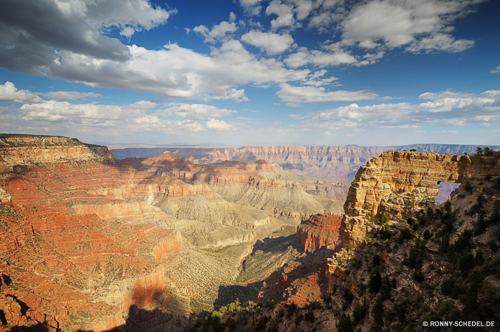 Grand Canyon National Park - North Rim Schlucht Schlucht Tal natürliche depression Felge Fels Wüste Landschaft Park nationalen Grand Berg Berge Geologie Aushöhlung landschaftlich Reisen Klippe Stein Sand Wahrzeichen Fluss Wandern Felsen Südwesten Himmel Wolken Abenteuer Tourismus im freien Westen Wunder im freien Urlaub Orange Tourist geologische Baum Mesa Welt Süden Bildung Szenerie natürliche Aussicht Wolke Nationalpark Grand canyon Sandstein felsigen Landschaften trocken Sonnenuntergang Gelände bunte Wildnis Licht Formationen Verwurzelung Wasser canyon ravine valley natural depression rim rock desert landscape park national grand mountain mountains geology erosion scenic travel cliff stone sand landmark river hiking rocks southwest sky clouds adventure tourism outdoors west wonder outdoor vacation orange tourist geological tree mesa world south formation scenery natural vista cloud national park grand canyon sandstone rocky scenics dry sunset terrain colorful wilderness light formations desolate water