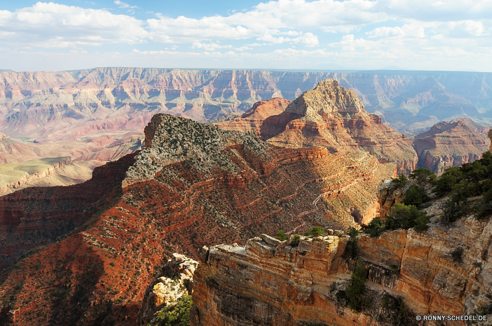 Grand Canyon National Park - North Rim Schlucht Schlucht Tal Fels Park Landschaft Berg nationalen natürliche depression Wüste Berge Aushöhlung Felge Reisen landschaftlich Klippe Himmel Geologie Felsen Grand Stein Tourismus Südwesten Wandern Orange Sand im freien Urlaub geologische Baum Wahrzeichen Abenteuer Fluss im freien Wolken Westen Wunder Tourist Mesa Welt Süden Sandstein Sonnenuntergang Bildung Szenerie Bereich Wildnis Aussicht natürliche Bäume Formationen Klippen Wolke Wasser Erholung Nationalpark Sonnenaufgang Sommer trocken Sonne Straße geologische formation robuste Bögen Reise gelb Wald canyon ravine valley rock park landscape mountain national natural depression desert mountains erosion rim travel scenic cliff sky geology rocks grand stone tourism southwest hiking orange sand outdoors vacation geological tree landmark adventure river outdoor clouds west wonder tourist mesa world south sandstone sunset formation scenery range wilderness vista natural trees formations cliffs cloud water recreation national park sunrise summer dry sun road geological formation rugged arches trip yellow forest