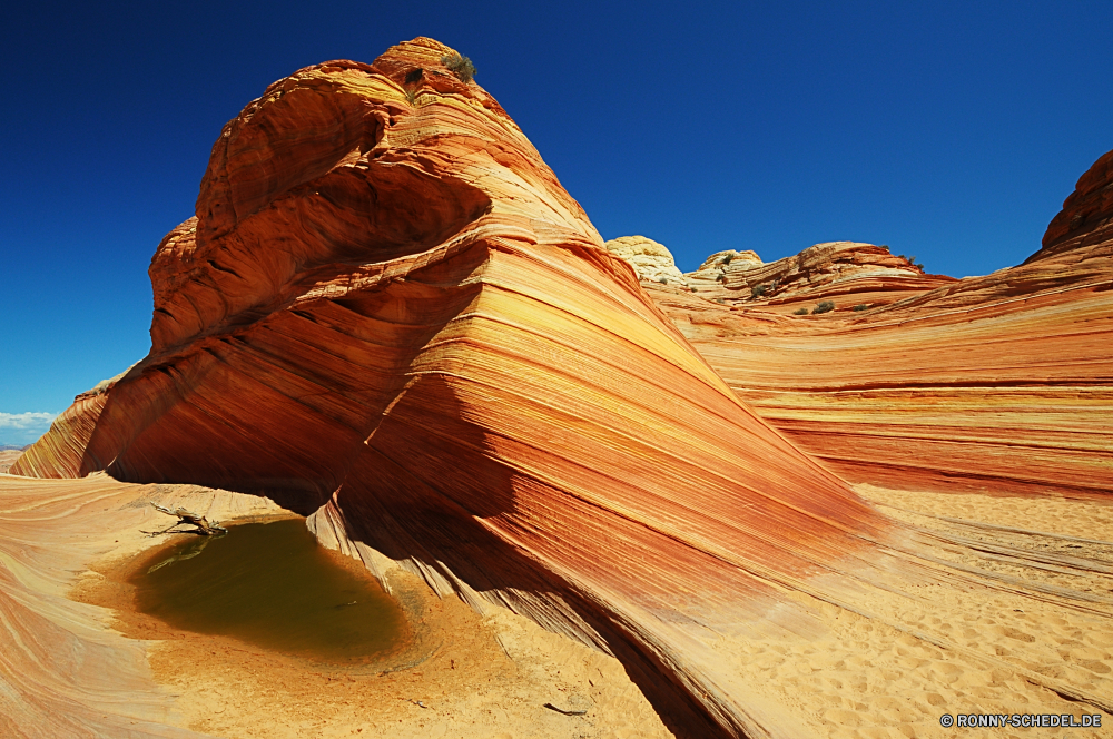 The Wave Sand Boden Schlucht Wüste Erde Fels Landschaft Reisen Sandstein Park Stein Tal Himmel nationalen Geologie Schlucht Orange Düne trocken Aushöhlung Tourismus landschaftlich Arid natürliche im freien Formationen Felsen Südwesten Berg im freien Denkmal Wildnis Lineal Bildung Berge Klippe Urlaub Landschaften Wolken Bögen Szenerie Land Westen Sonne Sommer geologische Wahrzeichen Gelände Welle Sonnenuntergang natürliche depression Wärme Tourist gelb in der Nähe Extreme Baum heiß Farbe Horizont Schatten Verwurzelung Klippen Ehrfurcht Panorama Abenteuer Hügel berühmte Textur erodiert Antilope Hügel Wandern Antike Reiseziele ruhige Geschichte Steckplatz Dürre Bogen sonnig Staaten Strand Bereich Klima Muster bunte niemand sand soil canyon desert earth rock landscape travel sandstone park stone valley sky national geology ravine orange dune dry erosion tourism scenic arid natural outdoors formations rocks southwest mountain outdoor monument wilderness ruler formation mountains cliff vacation scenics clouds arches scenery land west sun summer geological landmark terrain wave sunset natural depression heat tourist yellow near extreme tree hot color horizon shadow desolate cliffs awe panoramic adventure hill famous texture eroded antelope hills hiking ancient destinations tranquil history slot drought arch sunny states beach area climate pattern colorful nobody