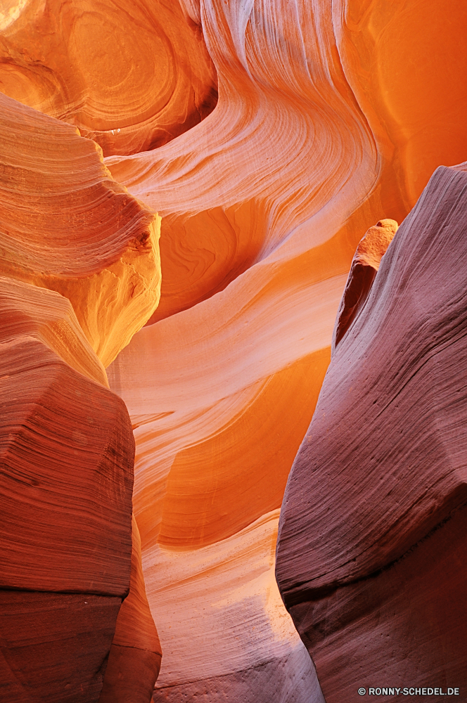 Upper and Lower Antalope Canyon Schlucht Schlucht Tal natürliche depression Antilope Licht Sand Sandstein Fels Steckplatz Wüste Orange Textur Höhle Aushöhlung Stein Seite Muster Farbe Welle Südwesten Geologie bunte Wirkung gelb erodiert Kurve Fraktal künstlerische Gestaltung Landschaft futuristische Digital Flamme Reisen in der Nähe Grafik dunkel niedrigere natürliche Mysterium glänzend Kunst dynamische texturierte glühend schmale geologische Bildung Farben Höhle glatte Form trocken heiß Arid Tapete Hintergrund moderne Sonne einzigartige Stil Bewegung Raum Tourismus Antilope canyon Linien obere Formationen Hintergründe Detail Formen Strömung Land weiche im freien Material befindet sich landschaftlich tief Mauer Grunge Element Schatten hell Schichten Kurven macht Bewegung gestreift generiert schwarz Stoff Papier Struktur canyon ravine valley natural depression antelope light sand sandstone rock slot desert orange texture cave erosion stone page pattern color wave southwest geology colorful effect yellow eroded curve fractal artistic design landscape futuristic digital flame travel near graphic dark lower natural mystery shiny art dynamic textured glowing narrow geological formation colors cavern smooth shape dry hot arid wallpaper backdrop modern sun unique style motion space tourism antelope canyon lines upper formations backgrounds detail shapes flow land soft outdoors material located scenic deep wall grunge element shadow bright layers curves power movement striped generated black fabric paper structure