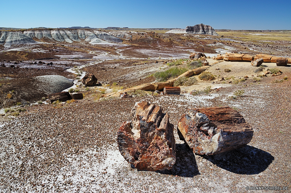 Petrified Forest National Park Schiff Landschaft Wrack Wüste Fels Sand Reisen Schiff Himmel Berg Tourismus Stein Ringwall Meer Handwerk Schiffswrack Strand Urlaub Sommer Berge Felsen Wasser Wolken Wolke Park Küste Schlucht landschaftlich trocken Tal nationalen Ozean Küste im freien Architektur Sonnenaufgang Mauer Land Hügel Antike Gebäude Sonne im freien natürliche Fahrzeug Szenerie Stadt Umgebung Hügel Boden Ziel heiß Horizont Sonnenuntergang Wildnis Arid Staub Ufer Erde berühmte Insel alt Straße Fluss Klippe Sandstein Landschaften Bau niemand Bucht Baum Wellen See Industrielle Aushöhlung Szene Ruine Industrie Schmutz Dach Stadt Wrack Teil friedliche Farbe Wahrzeichen Transport Urlaub bunte Geschichte Knoll ship landscape wreck desert rock sand travel vessel sky mountain tourism stone rampart sea craft shipwreck beach vacation summer mountains rocks water clouds cloud park coast canyon scenic dry valley national ocean coastline outdoors architecture sunrise wall land hill ancient building sun outdoor natural vehicle scenery city environment hills soil destination hot horizon sunset wilderness arid dust shore earth famous island old road river cliff sandstone scenics construction nobody bay tree waves lake industrial erosion scene ruin industry dirt roof town wreckage part peaceful color landmark transportation holiday colorful history knoll