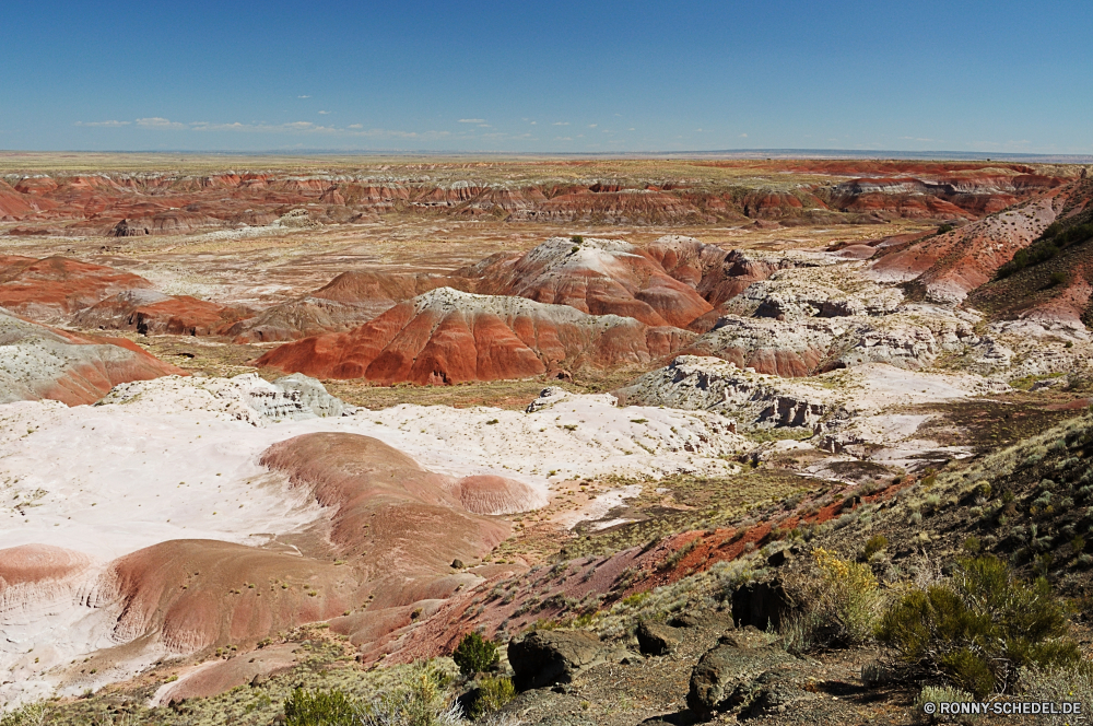 Petrified Forest National Park Schlucht Schlucht Tal natürliche depression Wüste Landschaft Fels Park Berg nationalen Reisen Berge Himmel Sand Aushöhlung Krater Stein Geologie Tourismus landschaftlich Klippe Urlaub Felsen Orange im freien Felge Wolken Südwesten im freien Abenteuer geologische formation Wahrzeichen Grand Wandern Tourist Westen Fluss Sandstein trocken Baum Wunder geologische Arid Wildnis Mesa Wolke Süden Bildung natürliche Szenerie Horizont Hügel Aussicht Welt Sommer Sonne gelb Formationen Gelände Land Klippen Bögen bunte Licht Umgebung Landschaften Bereich heiß Sonnenuntergang majestätisch Extreme Pflanze Bereich Nationalpark Tag zeigen Sonnenaufgang Denkmal Farbe sonnig Spitze entfernten Klima Wasser Hochland canyon ravine valley natural depression desert landscape rock park mountain national travel mountains sky sand erosion crater stone geology tourism scenic cliff vacation rocks orange outdoors rim clouds southwest outdoor adventure geological formation landmark grand hiking tourist west river sandstone dry tree wonder geological arid wilderness mesa cloud south formation natural scenery horizon hill vista world summer sun yellow formations terrain land cliffs arches colorful light environment scenics area hot sunset majestic extreme plant range national park day point sunrise monument color sunny peak remote climate water highland