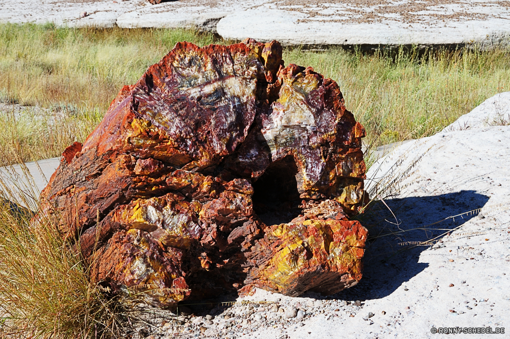 Petrified Forest National Park Schiff Wrack Schiff Grill Handwerk Schiffswrack Fleisch Fahrzeug Essen Roast Wasser Landschaft Fels Grill gegrillt Abendessen Kochen Mahlzeit frisch Schweinefleisch Fluss Mittagessen lecker geröstet Fett Rauch Wärme Meer Kohle Kochen im freien Steak Reisen im freien Braun Strand Berg Küche Stahl Stein Holz alt Textur gebraten rostige Rindfleisch Baum Feuer Essen Sommer Ozean Fisch Farbe Orange Feinschmecker heiß Muster köstliche Urlaub natürliche See Urlaub ship wreck vessel barbecue craft shipwreck meat vehicle food roast water landscape rock grill grilled dinner cooking meal fresh pork river lunch tasty roasted fat smoke heat sea coal cook outdoor steak travel outdoors brown beach mountain cuisine steel stone wood old texture fried rusty beef tree fire eat summer ocean fish color orange gourmet hot pattern delicious vacation natural lake holiday