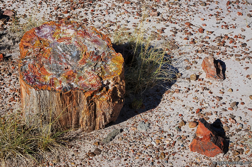 Petrified Forest National Park Mauer Textur Herbst alt fallen schmutzig Oberfläche Fels Stein Muster Wald Rau Material texturierte Knoll Baum Grunge Wasser Landschaft Park Orange Verwittert Fluss Jigsaw puzzle Loch Braun gelb im freien Szenerie Saison Blatt Hintergründe Jahrgang rostige Blätter Puzzle Farbe im freien Struktur Holz geknackt Rost landschaftlich Beton beschädigt Berg Ahorn Boden im Alter von Umgebung Hölzer Grunge Spinnennetz bunte Belaubung metallische Pflanze Reisen Schließen Wirkung Erde malen grau Bäume Metall Zement Antik Alterung Meer Schmutz Backstein Pfad Gestaltung schwarz Stuck Eisen Sand Hintergrund See Spiel Straße closeup natürliche Licht Bau veraltet getragen Felsen Retro Detail Schlucht Boden Stahl Farben Architektur wall texture autumn old fall dirty surface rock stone pattern forest rough material textured knoll tree grunge water landscape park orange weathered river jigsaw puzzle hole brown yellow outdoors scenery season leaf backgrounds vintage rusty leaves puzzle color outdoor structure wood cracked rust scenic concrete damaged mountain maple soil aged environment woods grungy spider web colorful foliage metallic plant travel close effect earth paint gray trees metal cement antique aging sea dirt brick path design black stucco iron sand backdrop lake game road closeup natural light construction obsolete worn rocks retro detail canyon ground steel colors architecture