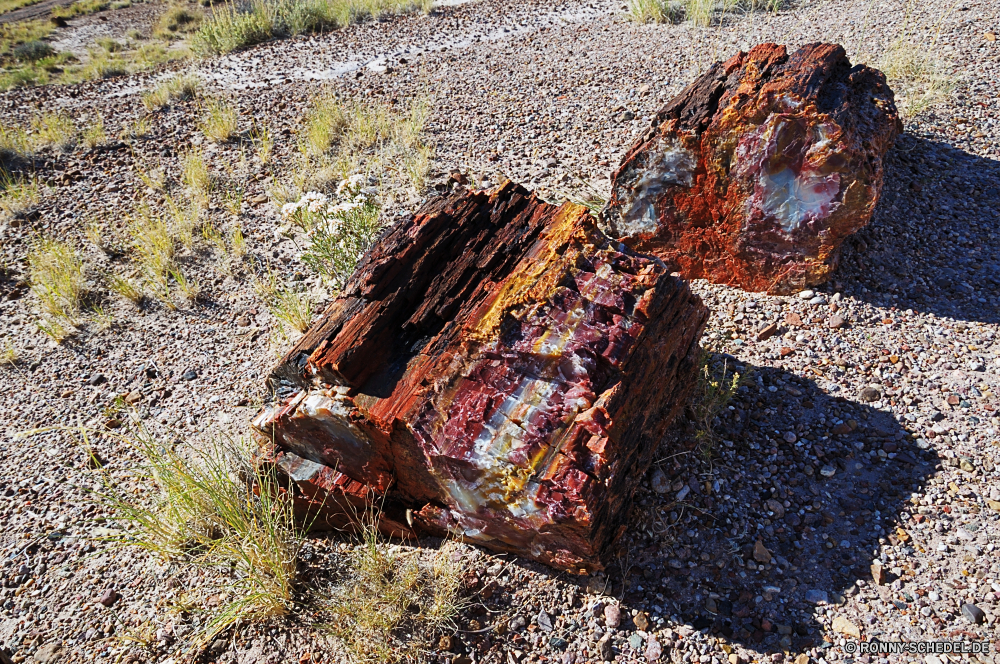 Petrified Forest National Park Schiff Fels Schiff Wrack Schiffswrack Stein Landschaft Wasser Meer Reisen Handwerk Krustentier Berg Baum Gliederfüßer Urlaub Tourismus Himmel Strand Felsen Fluss Ozean Rock-Krabbe Krabbe Küste Klippe Sand Berge landschaftlich Wirbellose Geologie im freien im freien Barnacle Schlucht Wüste Park Sommer Fahrzeug nationalen Küste Wald Sonne Szenerie Orange Licht Ufer Textur Tropischer Tourist Urlaub Aushöhlung Tal Welle Abenteuer Wolke natürliche Wolken Umgebung felsigen Wild Wandern Bucht Holz Insel Fisch Muster Rau Wahrzeichen Sonnenuntergang nass Oberfläche geologische frisch Grand Grill Roast alt Grill geröstet tief Marine Abendessen Stream heiß friedliche Essen Sonnenlicht Herbst Saison texturierte ship rock vessel wreck shipwreck stone landscape water sea travel craft crustacean mountain tree arthropod vacation tourism sky beach rocks river ocean rock crab crab coast cliff sand mountains scenic invertebrate geology outdoor outdoors barnacle canyon desert park summer vehicle national coastline forest sun scenery orange light shore texture tropical tourist holiday erosion valley wave adventure cloud natural clouds environment rocky wild hiking bay wood island fish pattern rough landmark sunset wet surface geological fresh grand grill roast old barbecue roasted deep marine dinner stream hot peaceful food sunlight autumn season textured