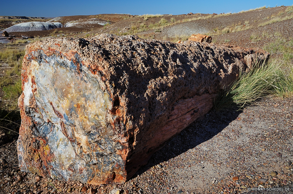 Petrified Forest National Park Schiff Wrack Schiff Handwerk Schiffswrack Stein Fels Landschaft Wasser Megalith Meer Sand Gedenkstätte landschaftlich Fahrzeug Küste Reisen Struktur Berg Grab alt im freien Strand Mauer Himmel Tourismus Ozean Sommer Geologie Umgebung Urlaub Ufer Felsen im freien Küste Fluss Wüste Szenerie natürliche Park Textur Wolken friedliche texturierte Braun Szene Tag Hügel Grunge Schließen schmutzig Horizont Muster Antike niemand Wellen Berge Backstein See Ruhe Klippe Rau gelb Oberfläche Architektur Welle Baum Schlucht Rost Orange Steine Boot Licht nationalen Sonne ship wreck vessel craft shipwreck stone rock landscape water megalith sea sand memorial scenic vehicle coast travel structure mountain grave old outdoors beach wall sky tourism ocean summer geology environment vacation shore rocks outdoor coastline river desert scenery natural park texture clouds peaceful textured brown scene day hill grunge close dirty horizon pattern ancient nobody waves mountains brick lake calm cliff rough yellow surface architecture wave tree canyon rust orange stones boat light national sun