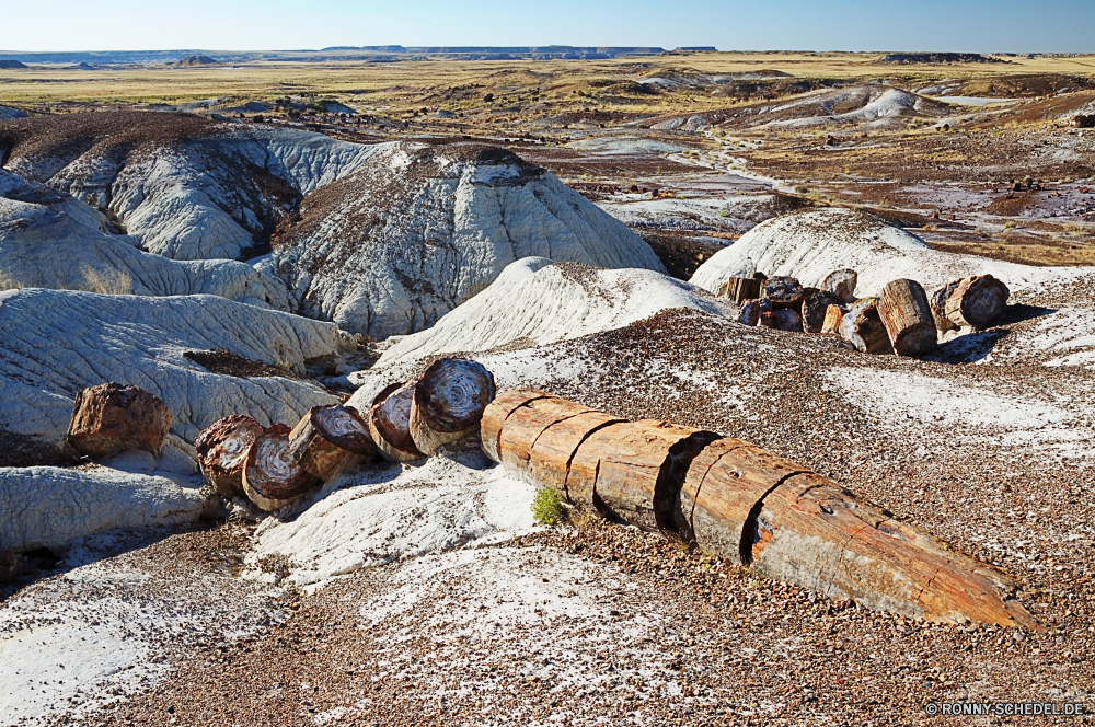 Petrified Forest National Park Sand Boden Erde Wüste Berg Landschaft Himmel Fels Berge Reisen Stein Strand Tourismus Felsen Ozean im freien Wolken landschaftlich Tal Park Meer trocken Wolke Urlaub Abenteuer Schlucht Sommer nationalen Darm-Trakt Umgebung Hügel im freien natürliche Wasser Geologie Küste Arid Wildnis Sonne außerhalb Land niemand Spitze Farbe Extreme Steine hoch Reise Berg-Zelt Szenerie Aushöhlung Düne majestätisch Hügel felsigen Wild Wandern dramatische sonnig Süden Klippe Fluss Zelt vulkanische Verwurzelung Tag Boden Gelände Orange alt Reise Küste Struktur Ökologie See Insel friedliche Schnee Obdach Vulkan sand soil earth desert mountain landscape sky rock mountains travel stone beach tourism rocks ocean outdoors clouds scenic valley park sea dry cloud vacation adventure canyon summer national tract environment hill outdoor natural water geology coast arid wilderness sun outside land nobody peak color extreme stones high journey mountain tent scenery erosion dune majestic hills rocky wild hiking dramatic sunny south cliff river tent volcanic desolate day ground terrain orange old trip coastline structure ecology lake island peaceful snow shelter volcano