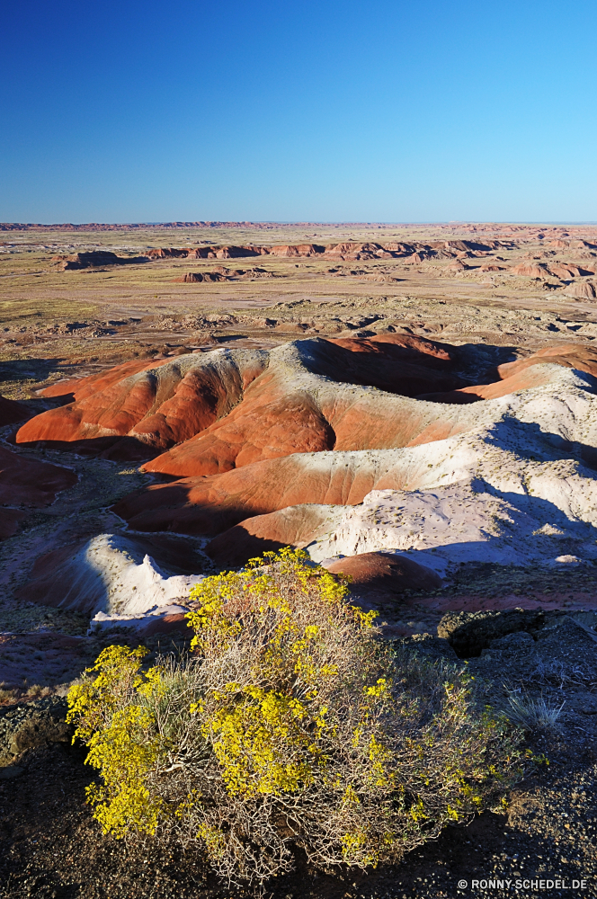 Petrified Forest National Park Schlucht Schlucht Tal Sand Landschaft Wüste Fels natürliche depression Berg Himmel Reisen nationalen Park Berge Stein Klippe Boden im freien landschaftlich Tourismus Wildnis Aushöhlung Wolken Felsen Erde Geologie Arid Sandstein trocken Urlaub Orange Südwesten Wolke Bereich Gelände Fluss Szenerie Sonnenuntergang Sommer Meer Sonnenaufgang Hügel Horizont natürliche im freien Wasser Wahrzeichen Extreme Westen Wandern Szene Ozean Sonne Bildung Tourist Grand Landschaften Farbe Land Aussicht Abenteuer heiß Sonnenlicht Bereich Küste gelb Küste Baum bunte Strand Umgebung majestätisch entfernten Klima Steine berühmte Schnee Spitze zeigen Licht Wärme Grat Mesa Formationen Klippen Felge reservieren Wild felsigen Tag niemand Süden horizontale Braun geologische hoch Hügel sonnig Pflanze Wind Sonnenschein geologische formation Wellen See Herbst Düne canyon ravine valley sand landscape desert rock natural depression mountain sky travel national park mountains stone cliff soil outdoors scenic tourism wilderness erosion clouds rocks earth geology arid sandstone dry vacation orange southwest cloud range terrain river scenery sunset summer sea sunrise hill horizon natural outdoor water landmark extreme west hiking scene ocean sun formation tourist grand scenics color land vista adventure hot sunlight area coastline yellow coast tree colorful beach environment majestic remote climate stones famous snow peak point light heat ridge mesa formations cliffs rim reserve wild rocky day nobody south horizontal brown geological high hills sunny plant wind sunshine geological formation waves lake autumn dune