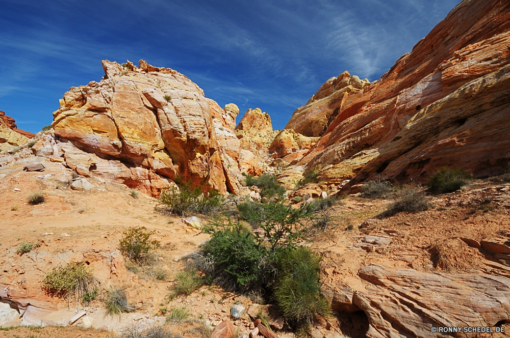 Valley of Fire State Park Schlucht Schlucht Tal Fels Wüste natürliche depression Park Landschaft Berg nationalen Klippe Himmel Reisen Stein Geologie Sand Sandstein landschaftlich Aushöhlung Tourismus Berge Felsen natürliche Wildnis Urlaub Südwesten Formationen Bildung im freien Baum im freien Wandern Szenerie Grand Wolken Orange geologische Westen Wunder Aussicht Landschaften trocken Arid Hügel Mesa Bögen Wahrzeichen Wolke Tourist Fluss Abenteuer Felge Gelände Sommer Szene Kaktus Klippen geologische formation Cliff-Wohnung Ehrfurcht Bereich Sonne Süden Kiefer Land Horizont Sonnenuntergang Butte westliche Wild felsigen Spitze Licht hoch Panorama Tag gelb Pflanze Wohnung Umgebung Boden Straße Wasser karge Wanderung Farbe Wanderweg heiß friedliche canyon ravine valley rock desert natural depression park landscape mountain national cliff sky travel stone geology sand sandstone scenic erosion tourism mountains rocks natural wilderness vacation southwest formations formation outdoor tree outdoors hiking scenery grand clouds orange geological west wonder vista scenics dry arid hill mesa arches landmark cloud tourist river adventure rim terrain summer scene cactus cliffs geological formation cliff dwelling awe range sun south pine land horizon sunset butte western wild rocky peak light high panoramic day yellow plant dwelling environment soil road water barren hike color trail hot peaceful