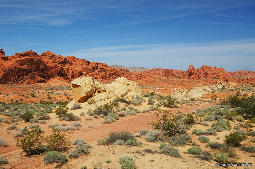 Valley of Fire State Park Schlucht Schlucht Tal Wüste natürliche depression Fels Landschaft Berg Reisen Himmel Park nationalen Sand Berge Stein landschaftlich Klippe Tourismus Felsen Aushöhlung Geologie Wildnis im freien Sandstein trocken Urlaub im freien Südwesten Westen Wolken Szenerie Bildung Grand Abenteuer Arid Land Orange Mesa natürliche Straße Bereich Wolke Wandern Landschaften Hügel geologische Felge Gelände Tourist Wahrzeichen Bereich Wunder Fluss Umgebung Horizont Aussicht Sommer Baum Wärme Spitze Wild Denkmal Pflanze Reise heiß Plateau karge Formationen Nationalpark Bögen westliche Licht Tag gelb Reise Süden Kaktus Erholung Entwicklung des ländlichen Butte Szene Klima Osten Welt niemand canyon ravine valley desert natural depression rock landscape mountain travel sky park national sand mountains stone scenic cliff tourism rocks erosion geology wilderness outdoors sandstone dry vacation outdoor southwest west clouds scenery formation grand adventure arid land orange mesa natural road range cloud hiking scenics hill geological rim terrain tourist landmark area wonder river environment horizon vista summer tree heat peak wild monument plant journey hot plateau barren formations national park arches western light day yellow trip south cactus recreation rural butte scene climate east world nobody