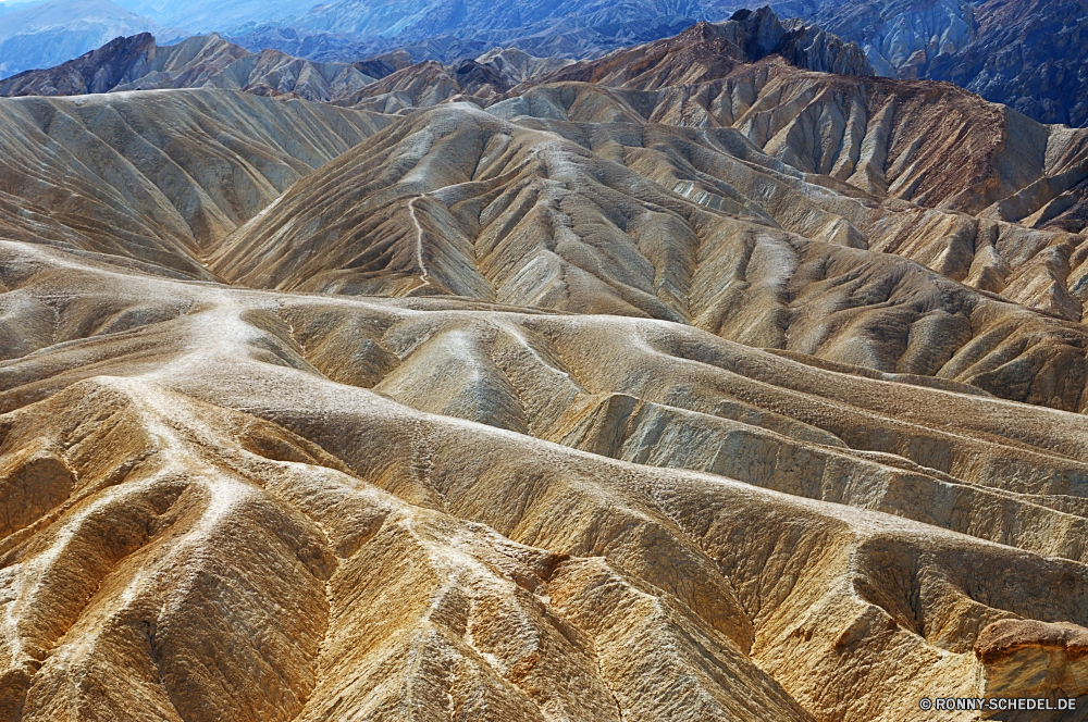 Death Valley National Park Stroh Dach Schutzüberzug Bespannung Weizen Korn natürliche Stroh Ernte Landwirtschaft Brot gelb Pflanze Entwicklung des ländlichen Feld cereal Textur trocken Golden Sommer Bauernhof Landschaft Landbau Ernte Muster Schließen Sand Bio Roggen Fels Detail Samen Wüste Braun reif Essen Reisen Himmel Mehl Korbweide closeup Gold Mais im freien Gerste Geologie landschaftlich texturierte gesund alt Landschaft Ohr Farbe Mahlzeit Wachstum Land sonnig wachsen Saison Land im freien Urlaub Ernte Korb Gras Stein Schlucht Hafer Sonne Herbst Sandstein landwirtschaftlichen Szene zu produzieren Wolken Orange Tourismus Rau Hintergründe Licht Wasser Arid Heu Bäckerei Ohren Backen Faser ganz Bäckerei Strand traditionelle Vorbau Park Berge nationalen Düne aus Holz thatch roof protective covering covering wheat grain natural straw harvest agriculture bread yellow plant rural field cereal texture dry golden summer farm landscape farming crop pattern close sand organic rye rock detail seed desert brown ripe food travel sky flour wicker closeup gold corn outdoors barley geology scenic textured healthy old countryside ear color meal growth country sunny grow season land outdoor vacation harvesting basket grass stone canyon oat sun autumn sandstone agricultural scene produce clouds orange tourism rough backgrounds light water arid hay baking ears bake fiber whole bakery beach traditional stem park mountains national dune wooden