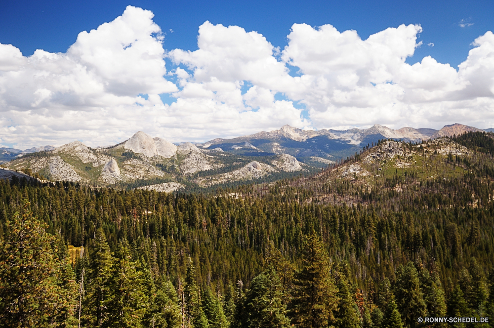 Yosemite National Park Bereich Berg Landschaft Schnee Berge Himmel Spitze Wald Gletscher Reisen Baum Tourismus Park nationalen See Wildnis im freien Wolke landschaftlich hoch Bäume Mount Szenerie sonnig Umgebung Winter Wolken Alpine Hügel Eis schneebedeckt kalt Sommer majestätisch Wandern Tal im freien Fluss Spitzen Nach oben Fels Wasser Frühling Alpen übergeben Reise Kiefer Wild felsigen Klippe natürliche Alp Klettern Gras Gipfeltreffen Wiese Panorama Herbst Ruhe Stein am Morgen Bergsteigen Reflexion Landschaften Sonne klar Rocky mountains höchsten Wandern Extreme Hölzer Erhaltung Sonnenschein Hochland Ziel Saison ruhige Horizont Everest MT Klettern Feld Ökologie Urlaub fallen robuste Trek Hügel Tag range mountain landscape snow mountains sky peak forest glacier travel tree tourism park national lake wilderness outdoors cloud scenic high trees mount scenery sunny environment winter clouds alpine hill ice snowy cold summer majestic hiking valley outdoor river peaks top rock water spring alps pass journey pine wild rocky cliff natural alp climbing grass summit meadow panorama autumn calm stone morning mountaineering reflection landscapes sun clear rocky mountains highest trekking extreme woods conservation sunshine highland destination season tranquil horizon everest mt climb field ecology vacation fall rugged trek hills day