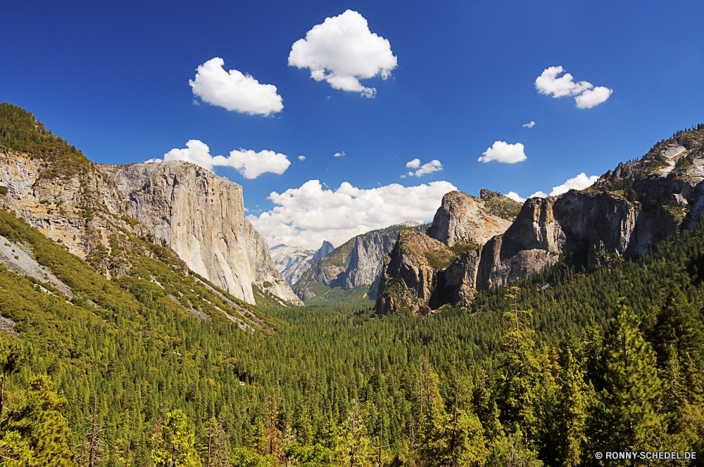 Yosemite National Park Bereich Berg Landschaft Berge Himmel Reisen Tal Schnee Spitze Wald Baum Hochland Park Fels Wolken Gras Tourismus Szenerie nationalen hoch Alp Sommer Bäume Hügel Alpine im freien landschaftlich im freien Wolke Wiese Alpen Gletscher Wildnis Umgebung felsigen Fluss Stein Wandern Spitzen Frühling Panorama übergeben Herbst sonnig Hügel Feld Entwicklung des ländlichen See natürliche Wasser Felsen Landschaft Gipfeltreffen Mount Urlaub Land Wild Klippe Saison fallen Horizont natürliche Höhe Grat Wandern Weide Szene Abenteuer Ruhe Straße Pflanze Wanderung geologische formation Nach oben Wahrzeichen Urlaub Klettern Klettern Hölzer Pfad Ziel Tourist Kiefer Eis Sonne am Morgen Schlucht Flora range mountain landscape mountains sky travel valley snow peak forest tree highland park rock clouds grass tourism scenery national high alp summer trees hill alpine outdoor scenic outdoors cloud meadow alps glacier wilderness environment rocky river stone hiking peaks spring panorama pass autumn sunny hills field rural lake natural water rocks countryside summit mount vacation country wild cliff season fall horizon natural elevation ridge trekking pasture scene adventure calm road plant hike geological formation top landmark holiday climb climbing woods path destination tourist pine ice sun morning canyon flora