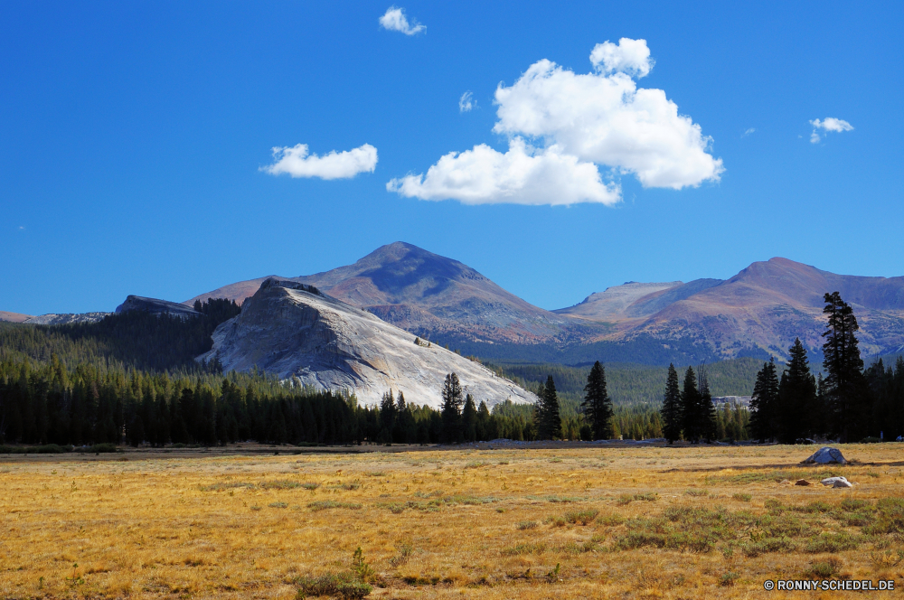 Yosemite National Park Berg Hochland Landschaft Bereich Berge Vulkan Wald Spitze Schnee Reisen Himmel Baum nationalen natürliche Höhe Park im freien Tourismus landschaftlich Szenerie Gras Tal Bäume Wolken Umgebung Wildnis Wolke Hügel Sommer Herbst geologische formation im freien See Fels Wiese hoch felsigen fallen Fluss natürliche Spitzen Szene Alpine Alpen Ruhe Mount Gletscher Horizont Wandern Feld Wasser Panorama Stein Wild Gipfeltreffen Klippe Kiefer Entwicklung des ländlichen klar Frühling Eis Ökologie friedliche MT übergeben Hügel Land Attraktion Erhaltung Felsen sonnig Winter Landschaften majestätisch Landschaft Urlaub Nadelbaum Wanderung Urlaub Pfad bewölkt Land Tourist ruhige Wahrzeichen gelb Grat Tag kalt Hölzer gelassene Reflexion Farbe Straße Saison mountain highland landscape range mountains volcano forest peak snow travel sky tree national natural elevation park outdoors tourism scenic scenery grass valley trees clouds environment wilderness cloud hill summer autumn geological formation outdoor lake rock meadow high rocky fall river natural peaks scene alpine alps calm mount glacier horizon hiking field water panorama stone wild summit cliff pine rural clear spring ice ecology peaceful mt pass hills country attraction conservation rocks sunny winter landscapes majestic countryside vacation conifer hike holiday path cloudy land tourist tranquil landmark yellow ridge day cold woods serene reflection color road season