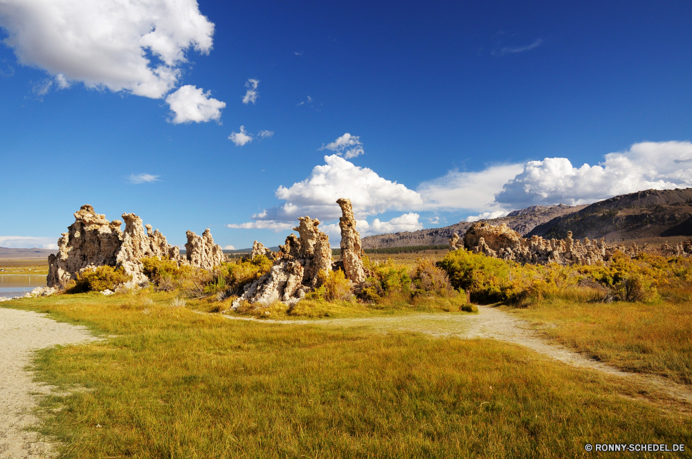 Mono Lake Himmel Landschaft Baum Feld Wald Gras Berg Herbst Bäume Wiese Park Saison Wolken im freien Entwicklung des ländlichen Reisen Szenerie Horizont Atmosphäre Land fallen Berge Landschaft Sommer Wolke Land landschaftlich gelb Umgebung Sonne nationalen Pflanze Tourismus woody plant Yucca Wildnis Frühling Bereich im freien Schnee Blätter Szene See Strauch Bauernhof sonnig Hölzer natürliche am Morgen Sonnenlicht Landwirtschaft vascular plant Farbe Wetter Straße Spitze Weide Tal Westen Holz Flora Wolkengebilde idyllische bewölkt Hochland Hügel Kiefer Orange Fluss klar Reiner Belaubung bunte Sonnenuntergang Rocky mountains Ackerland Weizen Landschaften Fels Rasen außerhalb Wasser Scheune horizontale friedliche Alpine Licht hoch Tag Pfad Struktur Gold hell Grünland Aussicht felsigen Felder Panorama Landbau Wirtschaftsgebäude Pflanzen immergrün Braun Birke ruhige Blatt sky landscape tree field forest grass mountain autumn trees meadow park season clouds outdoors rural travel scenery horizon atmosphere country fall mountains countryside summer cloud land scenic yellow environment sun national plant tourism woody plant yucca wilderness spring range outdoor snow leaves scene lake shrub farm sunny woods natural morning sunlight agriculture vascular plant color weather road peak pasture valley west wood flora cloudscape idyllic cloudy highland hill pine orange river clear plain foliage colorful sunset rocky mountains farmland wheat scenics rock lawn outside water barn horizontal peaceful alpine light high day path structure gold bright grassland vista rocky fields panorama farming farm building plants evergreen brown birch tranquil leaf