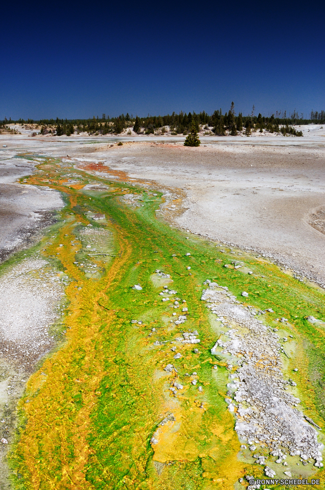 Yellowstone National Park aquatische Wasser Strand Sand Ozean Meer Landschaft Himmel Reisen Küste Sommer Insel Urlaub Wald Fluss Tropischer Baum Ufer Sonne sonnig Tourismus Szenerie Welle Wolken Fels Küste landschaftlich See im freien Urlaub Paradies Stein Wolke Körper des Wassers natürliche Wellen Szene Stream Türkis Berg Resort Park klar Land Horizont Entspannung Teich Entspannen Sie sich Bäume Umgebung ruhige Erholung Surf Felsen Ziel warm friedliche Frieden am Meer Bucht Frühling Urlaub Gras bunte Entwicklung des ländlichen im freien gelassene Saison Landschaft exotische Sonnenlicht Lagune Reflexion Kanal Küstenlinie Sonnenschein fallen Herbst Land sandigen seelandschaft Blatt Steine Schiff Freizeit Tourist Pflanze gelb Tag Tropen Farbe Küste Hölzer idyllische Reise Boot Berge Strömung Ökologie Archipel Oberfläche aquatic water beach sand ocean sea landscape sky travel coast summer island vacation forest river tropical tree shore sun sunny tourism scenery wave clouds rock coastline scenic lake outdoor holiday paradise stone cloud body of water natural waves scene stream turquoise mountain resort park clear land horizon relaxation pond relax trees environment tranquil recreation surf rocks destination warm peaceful peace seaside bay spring vacations grass colorful rural outdoors serene season countryside exotic sunlight lagoon reflection channel shoreline sunshine fall autumn country sandy seascape leaf stones ship leisure tourist plant yellow day tropics color coastal woods idyllic journey boat mountains flow ecology archipelago surface