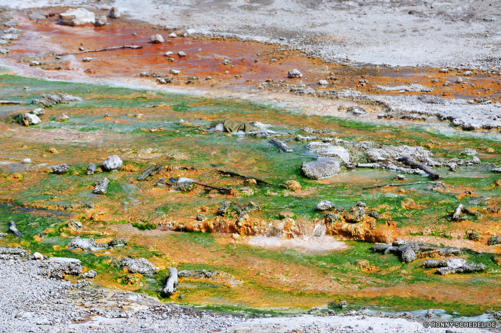 Yellowstone National Park Labyrinth Landschaft Reisen Fels im freien Wasser landschaftlich Fluss Berg Baum Himmel im freien Sand Umgebung Müll Bäume Stein Strand Sommer Gras Wald Stadt Meer Entwicklung des ländlichen Tourismus Szenerie Architektur Berge See Landschaft Bauernhof Herbst Land Sonne Gebäude Feld fallen Hochland Park Luftbild sonnig Wüste Ozean Landwirtschaft Szene Wolke außerhalb natürliche Haus ruhige schmutzig Blätter Dorf Tal bunte Saison Umwelt- Hügel friedliche Land Küste Urban Tag Wildnis niemand Häuser Umweltverschmutzung Landschaften Erhaltung Gebäude Entspannung Felsen Küste Urlaub Ruhe Garbage Collection Straße Frühling maze landscape travel rock outdoors water scenic river mountain tree sky outdoor sand environment rubbish trees stone beach summer grass forest city sea rural tourism scenery architecture mountains lake countryside farm autumn country sun building field fall highland park aerial sunny desert ocean agriculture scene cloud outside natural house tranquil dirty leaves village valley colorful season environmental hill peaceful land coast urban day wilderness nobody houses pollution scenics conservation buildings relaxation rocks coastline vacation calm garbage road spring