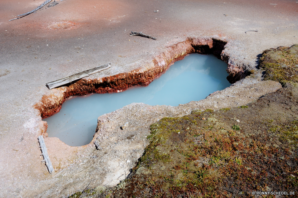 Yellowstone National Park Wirbellose Wasser Meer Tier Stachelhäuter Sand Ozean Schneckenart Stein Strand Seegurke Fels Mollusk Textur Sommer Fisch Oberfläche Wasser Schlange Tropischer Muster Gliederfüßer nass natürliche Schließen Eis Reisen Schlange Sonne Landschaft schmutzig Küste Fluss Welle horseshoe crab closeup Schnecke Seestern Mauer Felsen Küste Drop Kristall Urlaub Unterwasser Grunge Tourismus alt Organismus sea hare Detail texturierte Erde platsch Marine Berg Stream im freien Larve Ufer Reinigen Strömung Hintergründe klar Geologie kalt Wellen Licht See Rau malen ruhige Farbe landschaftlich invertebrate water sea animal echinoderm sand ocean gastropod stone beach sea cucumber rock mollusk texture summer fish surface water snake tropical pattern arthropod wet natural close ice travel snake sun landscape dirty coast river wave horseshoe crab closeup slug starfish wall rocks coastline drop crystal vacation underwater grunge tourism old organism sea hare detail textured earth splash marine mountain stream outdoor larva shore clean flow backgrounds clear geology cold waves light lake rough paint tranquil color scenic