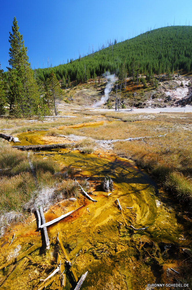 Yellowstone National Park Wald Fluss Landschaft Baum Wasser Berg Park Bäume Land Stream Fels Frühling Herbst im freien See Entwicklung des ländlichen fallen natürliche Gras Szenerie Sommer Umgebung ruhige Berge Stein im freien Reisen landschaftlich Saison Himmel Belaubung Sumpf Wasserfall Wildnis Szene Reflexion Hölzer Blatt Pflanze Kanal Holz Sonnenlicht Tourismus Landschaft nationalen idyllische Land Creek sonnig woody plant Körper des Wassers Kiefer Wild Moos Sonne Teich Felsen fließende friedliche Wiese Tag Feuchtgebiet Ruhe Blätter Licht klar vascular plant Strömung Frieden Kaskade nass Labyrinth Wolken Tal bunte glatte Farbe gelb Erholung Farben üppige Landschaften geologische formation Geysir Straße Mauer Flora Wolke frisch Schnee Reinigen frische Luft Garten Stille Spitze ruhig Orange Winter gelassene Bereich hell forest river landscape tree water mountain park trees land stream rock spring autumn outdoor lake rural fall natural grass scenery summer environment tranquil mountains stone outdoors travel scenic season sky foliage swamp waterfall wilderness scene reflection woods leaf plant channel wood sunlight tourism countryside national idyllic country creek sunny woody plant body of water pine wild moss sun pond rocks flowing peaceful meadow day wetland calm leaves light clear vascular plant flow peace cascade wet maze clouds valley colorful smooth color yellow recreation colors lush scenics geological formation geyser road wall flora cloud fresh snow clean freshness garden silence peak quiet orange winter serene range bright