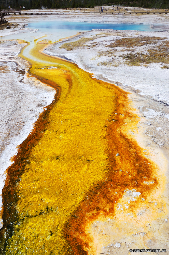 Yellowstone National Park Sand Kurkuma Kraut Boden vascular plant Strand Wasser Textur Erde Ozean schmutzig Meer Grunge Oberfläche alt Pflanze texturierte gelb Muster Reisen im Alter von Sommer Mauer malen Küste Rau Tapete Material Schließen Himmel Landschaft natürliche Urlaub Tropischer Gestaltung Verwittert Braun Küste künstlerische Fleck Welle Jahrgang Türkis Grunge Paradies Detail Antik sonnig Farbe Gold landschaftlich rostige Sonne Papier Stein Insel Organismus Szenerie Tourismus Schaum befleckt beschädigt Körper des Wassers Frame Baum klar Rost Kanal Golden Pinsel Leinwand Ufer Stuck Kunst Wellen Grenze Herbst bunte chaotisch Verfall Entspannen Sie sich Fluss Umgebung Struktur Dekoration Horizont Saison sand turmeric herb soil vascular plant beach water texture earth ocean dirty sea grunge surface old plant textured yellow pattern travel aged summer wall paint coast rough wallpaper material close sky landscape natural vacation tropical design weathered brown coastline artistic stain wave vintage turquoise grungy paradise detail antique sunny color gold scenic rusty sun paper stone island organism scenery tourism foam stained damaged body of water frame tree clear rust channel golden brush canvas shore stucco art waves border autumn colorful messy decay relax river environment structure decoration horizon season