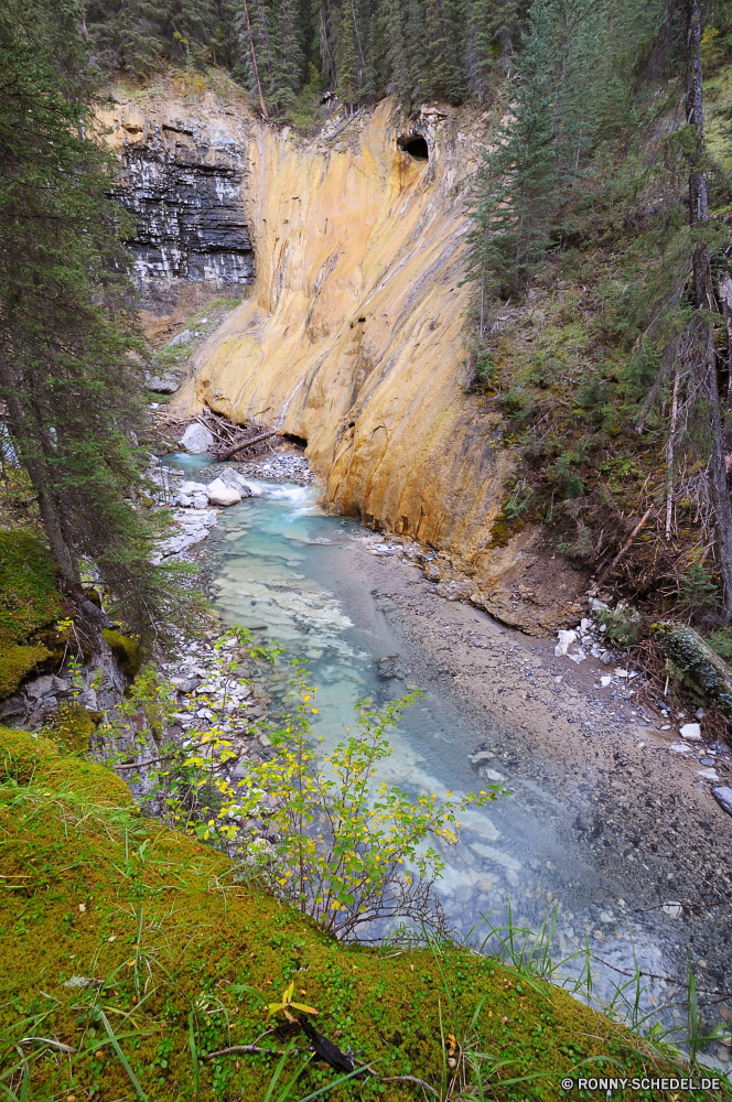 Banff National Park Fluss Baum Landschaft Wasser Wald Berg Schlucht Wildnis Fels Bäume Klippe Tal Park Stream Stein Schlucht im freien landschaftlich Felsen Reisen Kanal Berge woody plant Wasserfall natürliche Sommer Creek fallen Umgebung Körper des Wassers nationalen Szenerie im freien Tourismus Urlaub Küste geologische formation Himmel vascular plant Frühling Wild Herbst Kiefer natürliche depression Strömung Kaskade frisch Holz Meer fließende Belaubung See felsigen Wandern Pflanze Moos Hölzer Entwicklung des ländlichen Steine Hügel friedliche Insel Wolken Land southern beech üppige klar Szene Sonne Küste Ökologie Frieden Landschaft Ozean nass Spitze Gras Teich hoch Tag Blatt Paradies ruhige Erholung Blätter fällt Bewegung Landschaften Entspannen Sie sich Reinigen platsch frische Luft Ruhe Reflexion Urlaub Land Saison river tree landscape water forest mountain canyon wilderness rock trees cliff valley park stream stone ravine outdoor scenic rocks travel channel mountains woody plant waterfall natural summer creek fall environment body of water national scenery outdoors tourism vacation coast geological formation sky vascular plant spring wild autumn pine natural depression flow cascade fresh wood sea flowing foliage lake rocky hiking plant moss woods rural stones hill peaceful island clouds land southern beech lush clear scene sun coastline ecology peace countryside ocean wet peak grass pond high day leaf paradise tranquil recreation leaves falls motion scenics relax clean splash freshness calm reflection holiday country season