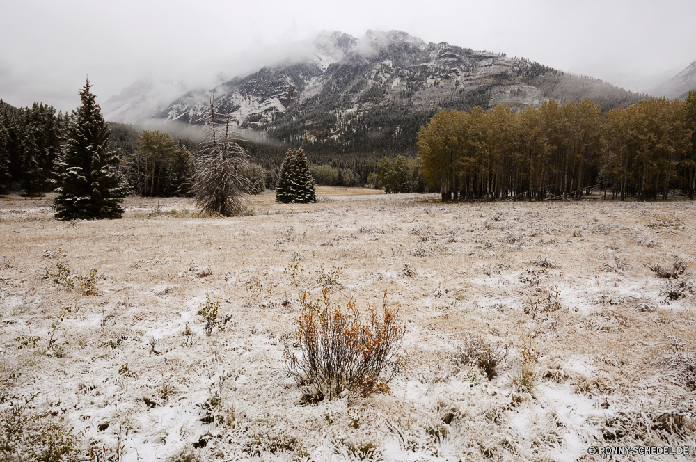 Banff National Park Heu Amaranth Futter Landschaft Kraut vascular plant Feld Feed Pflanze Himmel Entwicklung des ländlichen Gras Baum Bauernhof Landschaft Land Landwirtschaft Land Wiese Weizen Horizont Ernte Sommer Szenerie Stroh Essen im freien Szene Schnee Wald Park Saison Organismus Bäume Wolke Wolken Berg Herbst Umgebung Sonne im freien landschaftlich gelb Ballen Ackerland Landbau Berge Golden Winter natürliche Reisen Sonnenuntergang Ernte sonnig Felder Tag Wüste Korn Wetter Hügel trocken Stapel Unkraut cereal Sonnenlicht Ernte Mais kalt Wildnis Holz am Morgen landwirtschaftlichen Gelände Frost bewölkt fallen Bereich Ballen Fels horizontale Sand Gold ruhige Frühling Düne hay amaranth fodder landscape herb vascular plant field feed plant sky rural grass tree farm countryside country agriculture land meadow wheat horizon harvest summer scenery straw food outdoor scene snow forest park season organism trees cloud clouds mountain autumn environment sun outdoors scenic yellow bale farmland farming mountains golden winter natural travel sunset crop sunny fields day desert grain weather hill dry stack weed cereal sunlight harvesting corn cold wilderness wood morning agricultural terrain frost cloudy fall range bales rock horizontal sand gold tranquil spring dune