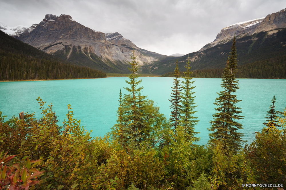 Banff National Park Bereich Berg See Landschaft Berge Wald Wasser Park Gletscher Schnee Himmel am See Reflexion nationalen Ufer Fluss Spitze Wolke Baum Wildnis Bäume im freien Reisen Umgebung landschaftlich Tourismus Szenerie Ruhe klar im freien Sommer Wolken Fels Herbst Tal Panorama natürliche Gras Szene ruhige Kiefer Klippe hoch Landschaften Hügel Alp Erhaltung idyllische Alpen Wahrzeichen Horizont felsigen Landschaften Felsen Hügel friedliche am Morgen malerische Wandern geologische formation bewölkt sonnig Feld fallen Spitzen Mount Urlaub entfernten Hölzer Spiegel Ökologie Ozean Becken Attraktion Hochland Tag Stein Wiese Land Kaskade Alpine Reflexionen Wild majestätisch Teich kalt Norden Saison Winter gelassene natürliche depression Farbe Sonne Eis Erholung Jaspis Wälder Nadelbaum Gelände Grand reflektieren Panorama Dämmerung Klima Holz Tourist Frühling range mountain lake landscape mountains forest water park glacier snow sky lakeside reflection national shore river peak cloud tree wilderness trees outdoors travel environment scenic tourism scenery calm clear outdoor summer clouds rock autumn valley panorama natural grass scene tranquil pine cliff high landscapes hills alp conservation idyllic alps landmark horizon rocky scenics rocks hill peaceful morning picturesque hiking geological formation cloudy sunny field fall peaks mount vacation remote woods mirror ecology ocean basin attraction highland day stone meadow land cascade alpine reflections wild majestic pond cold north season winter serene natural depression color sun ice recreation jasper forests conifer terrain grand reflect panoramic dusk climate wood tourist spring