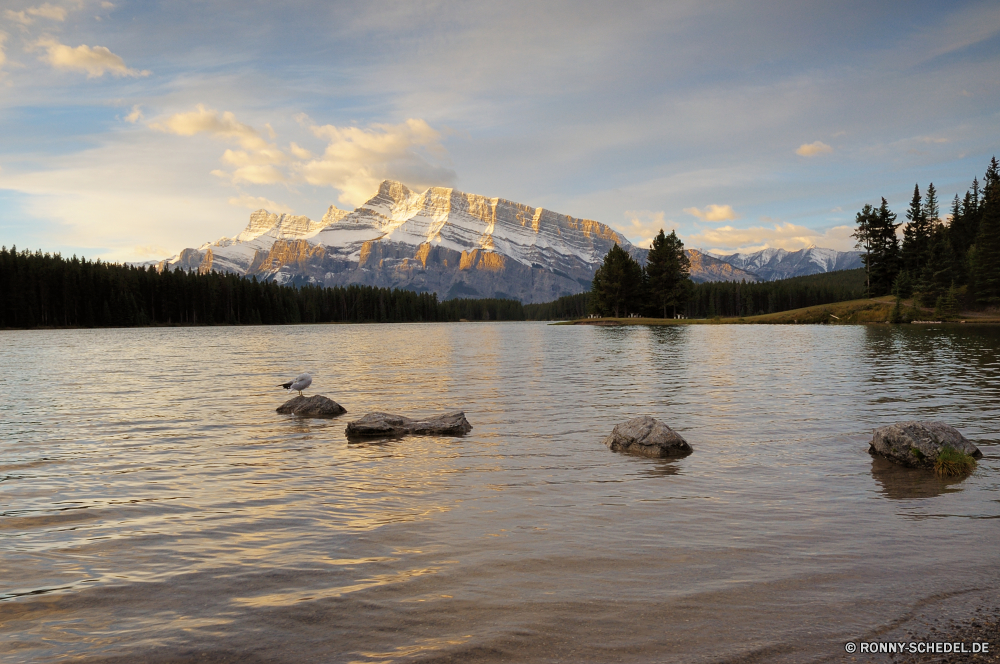 Jasper National Park Wasser Schiff Ozean Landschaft Strand Meer Himmel Küste Wrack Brücke Schiff Insel Wolken Reisen Bogenbrücke aus Stahl Wolke Struktur Berg See Sommer Sand Anlegestelle Tourismus Fels Ufer Fluss im freien Baum Küste Urlaub Boot Sonnenuntergang landschaftlich Reflexion Sonne Handwerk Bucht Wellenbrecher Küstenlinie Szenerie Unterstützung Barrier Gebäude Horizont Körper des Wassers Szene sonnig im freien Urlaub Wahrzeichen Resort am Wasser am Meer Felsen Hügel Ziel Wellen Tropischer Ruhe Klippe Palm Obstruktion Farbe Gerät Entspannen Sie sich Haus Stadt klar Wald Welle idyllische Architektur Schiffswrack Stein Licht Bäume Hafen Sonnenschein Berge friedliche ruhige Park Tag Stadtansicht gelassene Paradies Fahrzeug Tourist romantische felsigen Surf seelandschaft Panorama Entspannung Urlaub Sonnenaufgang natürliche water ship ocean landscape beach sea sky coast wreck bridge vessel island clouds travel steel arch bridge cloud structure mountain lake summer sand pier tourism rock shore river outdoors tree coastline vacation boat sunset scenic reflection sun craft bay breakwater shoreline scenery support barrier building horizon body of water scene sunny outdoor holiday landmark resort waterfront seaside rocks hill destination waves tropical calm cliff palm obstruction color device relax house city clear forest wave idyllic architecture shipwreck stone light trees harbor sunshine mountains peaceful tranquil park day cityscape serene paradise vehicle tourist romantic rocky surf seascape panorama relaxation vacations sunrise natural