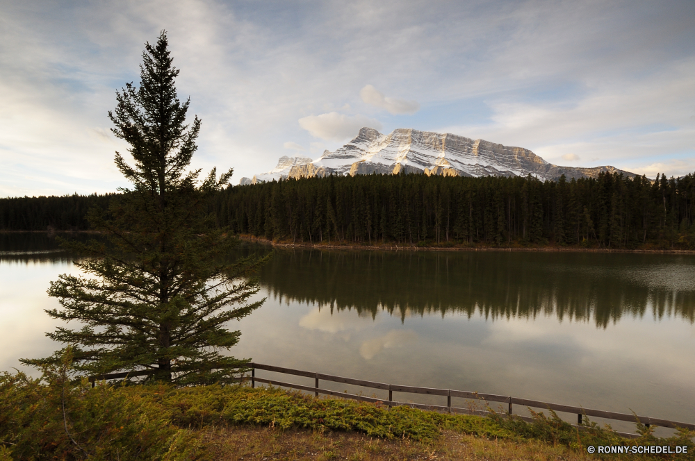 Jasper National Park See Himmel Wasser Landschaft Wald Atmosphäre Reflexion Fluss Baum landschaftlich Bäume im freien Berg Sumpf Sommer Reisen Wolken Ufer Teich Brücke Park ruhige Szenerie Umgebung Wolke Hängebrücke Land Ruhe Hölzer Berge friedliche Szene am See Feuchtgebiet Sonne Gras Entwicklung des ländlichen im freien Holz Tourismus Kiefer Struktur Urlaub Wildnis Landschaften gelassene idyllische natürliche Pflanze Kanal Saison Körper des Wassers Rest Landschaft Stein nationalen Farbe Sonnenlicht Stream Bereich Herbst Land Fels sonnig Urlaub Gelände Erhaltung Tourist Sonnenuntergang Küste ruhig Frühling Felsen Urlaub niemand Horizont Tal Tag Bereich Reed Becken klar Wild Beleuchtung Stille reflektieren Norden Wolkengebilde Frieden am Morgen Wiese Erholung lake sky water landscape forest atmosphere reflection river tree scenic trees outdoors mountain swamp summer travel clouds shore pond bridge park tranquil scenery environment cloud suspension bridge land calm woods mountains peaceful scene lakeside wetland sun grass rural outdoor wood tourism pine structure vacation wilderness scenics serene idyllic natural plant channel season body of water rest countryside stone national color sunlight stream area autumn country rock sunny holiday terrain conservation tourist sunset coast quiet spring rocks vacations nobody horizon valley day range reed basin clear wild lighting silence reflect north cloudscape peace morning meadow recreation