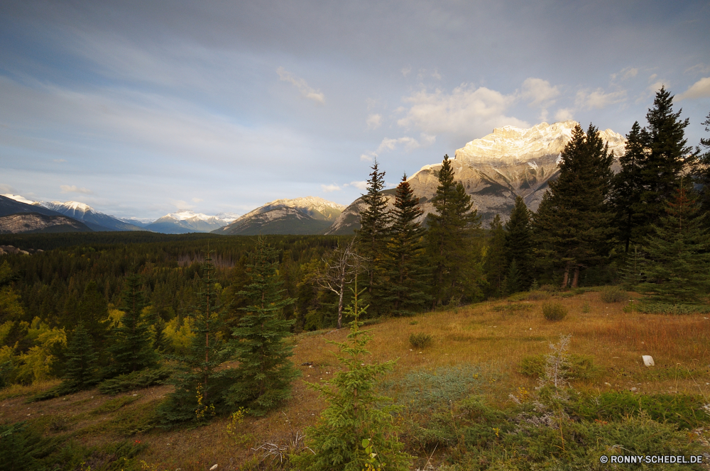 Jasper National Park Berg Bereich Landschaft Berge Himmel Baum Park Wald Reisen Gras Hochland Tal nationalen Spitze Schnee Sommer Wildnis Wolke Bäume Tourismus Szenerie Wolken Fels Alp hoch Umgebung Aufstieg Herbst sonnig Frühling Hügel Fluss im freien im freien Alpine See felsigen Wandern Panorama Wiese Steigung Stein Urlaub Alpen Wasser Kiefer übergeben fallen Klippe Land landschaftlich Yucca natürliche Hügel Gletscher Feld Entwicklung des ländlichen woody plant Felsen Wild Mount Szene Nach oben friedliche Landschaft Strauch Saison natürliche Höhe Pflanze Horizont Spitzen Grat vascular plant Pfad gelassene Ökologie ruhige Straße Reflexion Gipfeltreffen Land Tag Weide Norden Erhaltung bewölkt Wüste Ruhe Tourist Wetter geologische formation Landschaften Hölzer Belaubung Licht Freiheit am Morgen mountain range landscape mountains sky tree park forest travel grass highland valley national peak snow summer wilderness cloud trees tourism scenery clouds rock alp high environment ascent autumn sunny spring hill river outdoor outdoors alpine lake rocky hiking panorama meadow slope stone vacation alps water pine pass fall cliff country scenic yucca natural hills glacier field rural woody plant rocks wild mount scene top peaceful countryside shrub season natural elevation plant horizon peaks ridge vascular plant path serene ecology tranquil road reflection summit land day pasture north conservation cloudy desert calm tourist weather geological formation landscapes woods foliage light freedom morning