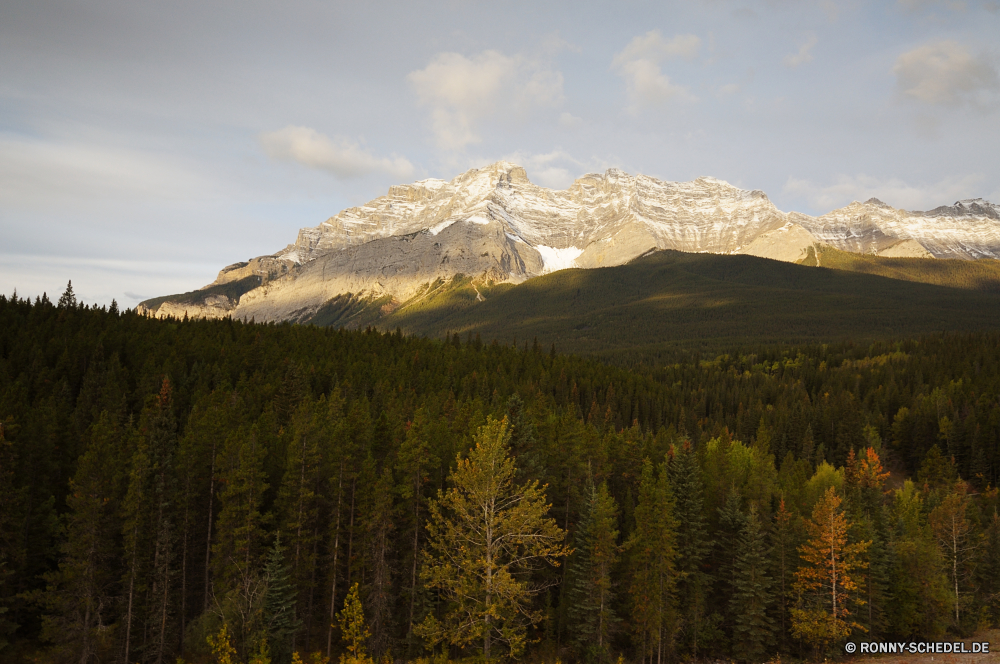 Jasper National Park Bereich Berg Landschaft Berge Wald Himmel Park Reisen Spitze Baum nationalen Schnee Tal Bäume Tourismus im freien Szenerie Wildnis Gras Umgebung Wolken Wolke Herbst See landschaftlich im freien Fels Hügel Sommer übergeben Gletscher Fluss Mount Panorama Wiese sonnig natürliche hoch felsigen fallen Ruhe Alpine Hochland Wasser Szene Landschaften Hügel Frühling Feld Wild Landschaft Stein Saison Wandern Vulkan Alpen Entwicklung des ländlichen Klippe Land Hölzer Attraktion Felsen Ökologie Spitzen Klettern Reflexion majestätisch bewölkt Tourist Urlaub MT klar Tag kalt Erhaltung Alp Ziel Eis am Morgen Horizont Kiefer Rocky mountains Wälder Gipfeltreffen Grat schneebedeckt Aussicht Knoll Winter Landschaften Land Sonnenaufgang Pflanzen friedliche gelb ruhige Blätter range mountain landscape mountains forest sky park travel peak tree national snow valley trees tourism outdoors scenery wilderness grass environment clouds cloud autumn lake scenic outdoor rock hill summer pass glacier river mount panorama meadow sunny natural high rocky fall calm alpine highland water scene landscapes hills spring field wild countryside stone season hiking volcano alps rural cliff country woods attraction rocks ecology peaks climb reflection majestic cloudy tourist vacation mt clear day cold conservation alp destination ice morning horizon pine rocky mountains forests summit ridge snowy vista knoll winter scenics land sunrise plants peaceful yellow tranquil leaves