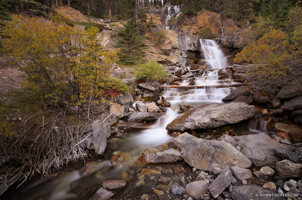 Jasper National Park Fluss Wald Landschaft Wasser fallen Baum Stream Park Bäume Kanal Stein Herbst im freien Fels Wasserfall Umgebung Berg Körper des Wassers natürliche landschaftlich Creek Wild Entwicklung des ländlichen Reisen Saison Frühling Wildnis Berge Belaubung frisch Eis Blatt Szenerie Moos Blätter Wandern im freien Kaskade See Tourismus Land bunte Felsen fließende Farben Hölzer Reinigen klar friedliche Landschaft glatte Müll Pflanze frische Luft Ökologie Brücke Schnee Garten Gras gelb gelassene Kristall Strömung ruhige Holz woody plant Drop Sommer Szene platsch Ruhe Branch entspannende nationalen nass üppige Bewegung Golden Bewegung Land Erholung Flüsse steilen Urlaub saisonale Postkarte kalt sonnig Winter solide Orange Reflexion vascular plant ruhig Sumpf Steine Tag Zweige fallen Himmel Abenteuer Frieden Straße Barrier glänzend river forest landscape water fall tree stream park trees channel stone autumn outdoor rock waterfall environment mountain body of water natural scenic creek wild rural travel season spring wilderness mountains foliage fresh ice leaf scenery moss leaves hiking outdoors cascade lake tourism country colorful rocks flowing colors woods clean clear peaceful countryside smooth rubbish plant freshness ecology bridge snow garden grass yellow serene crystal flow tranquil wood woody plant drop summer scene splash calm branch relaxing national wet lush movement golden motion land recreation rivers steep vacation seasonal postcard cold sunny winter solid orange reflection vascular plant quiet swamp stones day branches falling sky adventure peace road barrier shiny