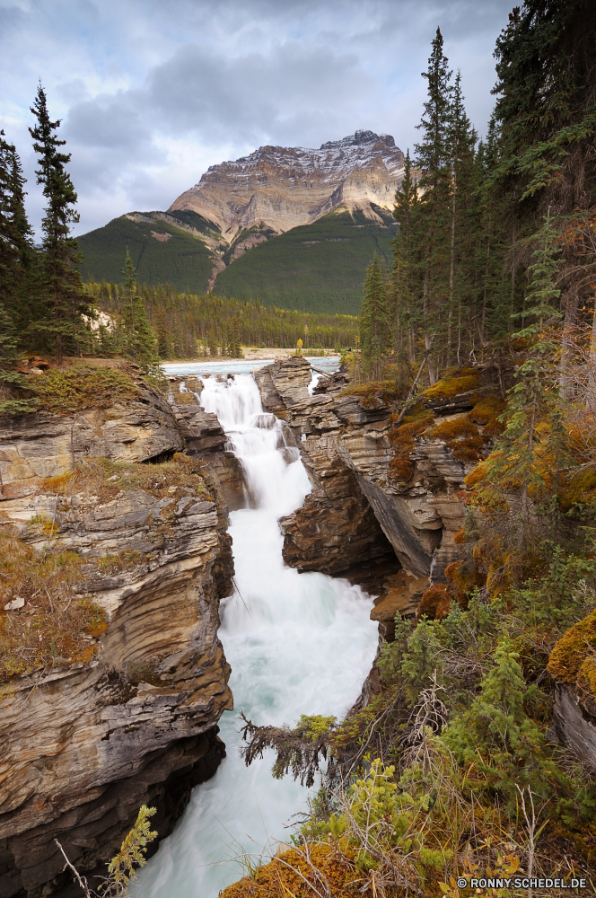 Jasper National Park Fluss Dam Wasser Wasserfall Schlucht Stream Landschaft Barrier Wald Fels Berg Stein Obstruktion Baum Felsen Schlucht fallen Reisen im freien Park Kaskade fällt Berge landschaftlich Wild fließende Strömung Tal Creek Umgebung Wildnis im freien Klippe natürliche Frühling nationalen Sommer Struktur Bewegung Bäume Kanal Moos Tourismus felsigen Szenerie Körper des Wassers friedliche Steine fallen frisch platsch Herbst natürliche depression rasche glatte Wandern Himmel gelassene Wasserfälle Pflanze Hölzer nass Erhaltung See ruhige Land Ökologie Flüsse Wanderung Erholung Abenteuer Urlaub geologische formation Blatt frische Luft plantschen Szene Tag Entwicklung des ländlichen Meer Geschwindigkeit Reinigen Farbe Kühl üppige Landschaften Wolken Holz SWIFT Bach Gelände klar erfrischende macht Kiefer Belaubung Ozean Küste Gras Saison Hügel Ziel Reflexion bunte niemand river dam water waterfall canyon stream landscape barrier forest rock mountain stone obstruction tree rocks ravine fall travel outdoor park cascade falls mountains scenic wild flowing flow valley creek environment wilderness outdoors cliff natural spring national summer structure motion trees channel moss tourism rocky scenery body of water peaceful stones falling fresh splash autumn natural depression rapid smooth hiking sky serene waterfalls plant woods wet conservation lake tranquil country ecology rivers hike recreation adventure vacation geological formation leaf freshness splashing scene day rural sea speed clean color cool lush scenics clouds wood swift brook terrain clear refreshing power pine foliage ocean coast grass season hill destination reflection colorful nobody