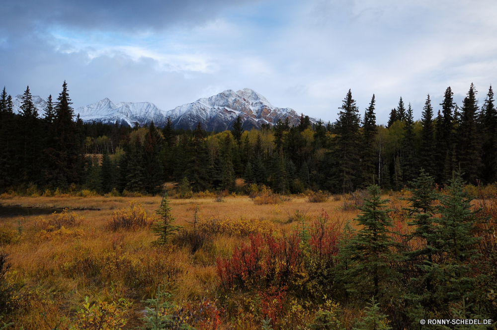 Jasper National Park Baum Landschaft Wald Bereich Berg Himmel Bäume Herbst Park Wildnis Gras Berge fallen im freien nationalen Reisen Wiese Saison See Wolke Entwicklung des ländlichen Hochland Szenerie Tourismus Wasser landschaftlich Pflanze Feld woody plant Sommer Umgebung vascular plant Wolken Hölzer Fluss gelb Kiefer natürliche Land Tal Schnee im freien Holz Szene friedliche ruhige Blätter sonnig Sonne Land Spitze Frühling Tag Wild Landschaft Horizont Farbe bewölkt Pflanzen Blatt am Morgen Orange felsigen Teich Reflexion Birke Landschaften Fels hoch Hügel Belaubung Wetter Licht Rocky mountains Kraut Jahreszeiten Pappel Bereich Panorama Erhaltung Pfad idyllische Branch Bauernhof Sonnenlicht Alpine Scheune Wandern Sumpf horizontale Gletscher Urlaub bunte hell klar übergeben Westen außerhalb Rasen Strauch Luft Ökologie Straße Flora Farben Landwirtschaft saisonale Wirtschaftsgebäude tree landscape forest range mountain sky trees autumn park wilderness grass mountains fall outdoors national travel meadow season lake cloud rural highland scenery tourism water scenic plant field woody plant summer environment vascular plant clouds woods river yellow pine natural country valley snow outdoor wood scene peaceful tranquil leaves sunny sun land peak spring day wild countryside horizon color cloudy plants leaf morning orange rocky pond reflection birch scenics rock high hill foliage weather light rocky mountains herb seasons poplar area panorama conservation path idyllic branch farm sunlight alpine barn hiking swamp horizontal glacier vacation colorful bright clear pass west outside lawn shrub air ecology road flora colors agriculture seasonal farm building