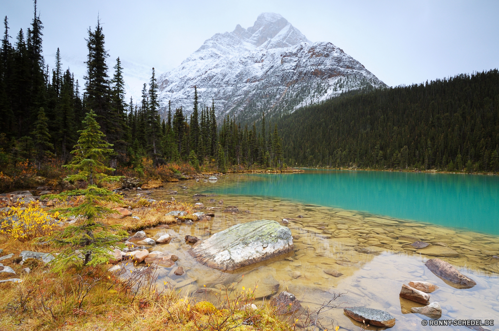 Jasper National Park Berg am See See Ufer Berge Landschaft Wald Wasser Fluss Park Himmel Schnee Bereich Baum Wildnis Spitze nationalen landschaftlich Reisen im freien Bäume Szenerie Umgebung Wolken Sommer Reflexion geologische formation Tourismus felsigen Alp Fels Gletscher Tal Stream natürliche im freien Wolke Gras Hügel Becken Hochland Holz Herbst klar natürliche depression Felsen Ruhe Stein friedliche ruhige Teich Landschaften Szene Grat idyllische natürliche Höhe fallen Rocky Mountains Nationalpark Landschaften Entwicklung des ländlichen Klippe Wandern sonnig Kiefer Frühling Winter Körper des Wassers Ökologie Land Alpen Wild entfernten Hölzer Panorama Saison Erhaltung Urlaub am Morgen Horizont Sonne Land Creek kalt gelassene Landschaft Eis mountain lakeside lake shore mountains landscape forest water river park sky snow range tree wilderness peak national scenic travel outdoors trees scenery environment clouds summer reflection geological formation tourism rocky alp rock glacier valley stream natural outdoor cloud grass hill basin highland wood autumn clear natural depression rocks calm stone peaceful tranquil pond scenics scene ridge idyllic natural elevation fall rockies national park landscapes rural cliff hiking sunny pine spring winter body of water ecology country alps wild remote woods panorama season conservation vacation morning horizon sun land creek cold serene countryside ice