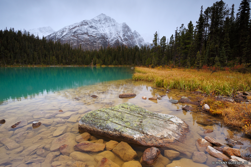 Jasper National Park Wald Fluss Landschaft am See Berg Wasser Ufer See Stream landschaftlich Berge Baum Park Bäume Reisen Himmel Wildnis Sommer Fels natürliche Reflexion im freien Sumpf Stein Land Szenerie Umgebung Tourismus Gras fallen Kanal im freien Teich Körper des Wassers Herbst sonnig Spitze nationalen ruhige Wolken Felsen Creek Frühling Entwicklung des ländlichen Schnee Holz Feuchtgebiet friedliche Tal Hölzer Wild felsigen Saison Urlaub idyllische klar Ruhe Landschaft Land Hügel Kiefer Nationalpark ruhig gelassene geologische formation Strömung Küste aquatische Wasserfall England Szene Wolke fließende Becken Ökologie Wiese Sonne Bereich Wandern Landschaften Frieden Waldland Kaskade Landschaften Gelände kalt natürliche depression Reinigen reine frisch Erholung Meer forest river landscape lakeside mountain water shore lake stream scenic mountains tree park trees travel sky wilderness summer rock natural reflection outdoor swamp stone land scenery environment tourism grass fall channel outdoors pond body of water autumn sunny peak national tranquil clouds rocks creek spring rural snow wood wetland peaceful valley woods wild rocky season vacation idyllic clear calm countryside country hill pine national park quiet serene geological formation flow coast aquatic waterfall england scene cloud flowing basin ecology meadow sun range hiking scenics peace woodland cascade landscapes terrain cold natural depression clean pure fresh recreation sea