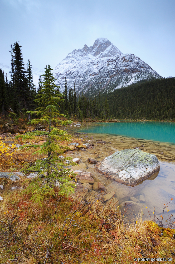 Jasper National Park am See Ufer See Landschaft Berg Wald Fluss Wasser Berge Baum Park Himmel landschaftlich Sommer nationalen Reisen Bäume Wildnis Szenerie Hochland Stream Reflexion im freien Fels Bereich Tourismus natürliche im freien Gras Stein Spitze Tal ruhige Umgebung Teich Schnee Wolke Hügel Wolken friedliche idyllische Felsen Herbst Ruhe fallen klar Szene Hölzer gelassene Kiefer sonnig Gletscher Holz Land Creek Pflanze felsigen Wild Sumpf Nationalpark Wiese Entwicklung des ländlichen Farbe Landschaften Frühling Landschaft Sonnenlicht aquatische Saison Tourist Grat Frieden Urlaub Sonne Land Gelände Wandern Türkis ruhig Tag Erhaltung am Morgen Mount Stille Wasserfall Panorama England bewölkt Insel glatte lakeside shore lake landscape mountain forest river water mountains tree park sky scenic summer national travel trees wilderness scenery highland stream reflection outdoors rock range tourism natural outdoor grass stone peak valley tranquil environment pond snow cloud hill clouds peaceful idyllic rocks autumn calm fall clear scene woods serene pine sunny glacier wood land creek plant rocky wild swamp national park meadow rural color scenics spring countryside sunlight aquatic season tourist ridge peace vacation sun country terrain hiking turquoise quiet day conservation morning mount silence waterfall panorama england cloudy island smooth