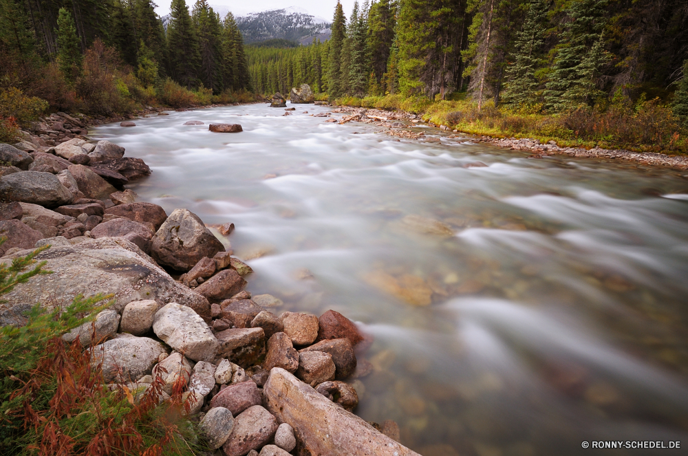 Jasper National Park Wald Fluss Wasser Landschaft Stream Berg Fels Stein Land Baum Bäume Park Berge im freien Felsen Steinmauer Reisen Umgebung natürliche Barrier Creek Schnee Wild Zaun Wildnis Szenerie landschaftlich im freien Wasserfall fallen Strömung Himmel Ufer Steine fließende Obstruktion Frühling Herbst See Ruhe kalt Eis Sommer Winter felsigen Tourismus nationalen Kanal Entwicklung des ländlichen friedliche am See Kaskade Reinigen Körper des Wassers klar Szene sonnig Drop Holz Moos Sonne frisch Bewegung Wolken Wandern ruhig Hölzer Wellenbrecher Saison Landschaft Sand Kiefer Land Ozean Struktur glatte ruhige Farben Boden rasche Blätter Landschaften gelassene Bewegung platsch frische Luft Ökologie Geschwindigkeit nass Sonnenlicht Gras forest river water landscape stream mountain rock stone land tree trees park mountains outdoor rocks stone wall travel environment natural barrier creek snow wild fence wilderness scenery scenic outdoors waterfall fall flow sky shore stones flowing obstruction spring autumn lake calm cold ice summer winter rocky tourism national channel rural peaceful lakeside cascade clean body of water clear scene sunny drop wood moss sun fresh motion clouds hiking quiet woods breakwater season countryside sand pine country ocean structure smooth tranquil colors soil rapid leaves scenics serene movement splash freshness ecology speed wet sunlight grass