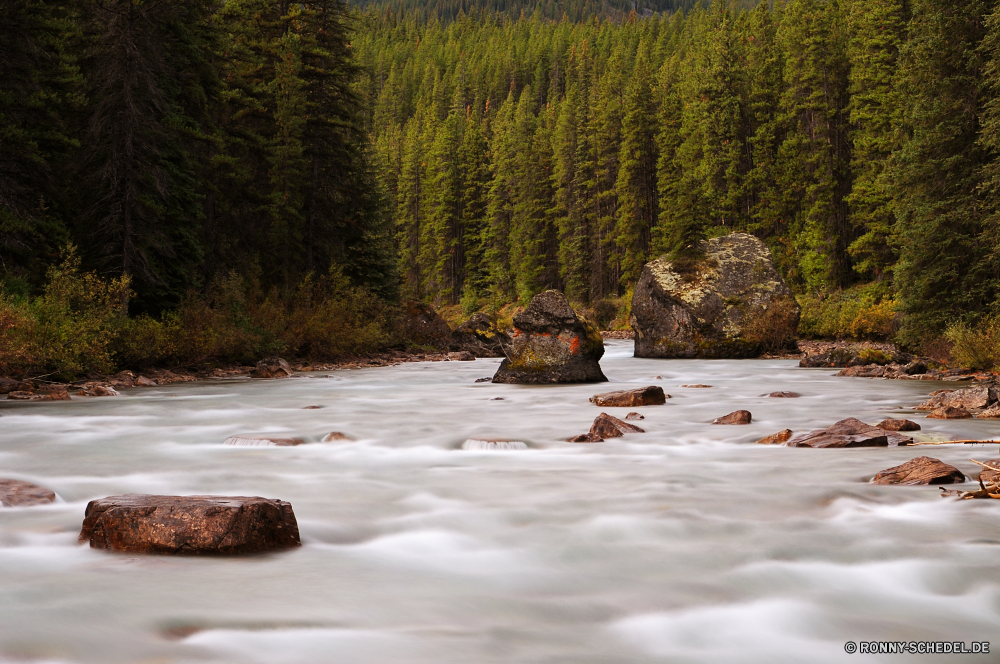 Jasper National Park Wald Fluss Wasser Baum Landschaft Bäume Stream Park Berg Schnee Motorschlitten im freien Herbst Reisen im freien Umgebung fallen Fels Winter Stein natürliche Land Wild Kettenfahrzeug Saison Hölzer kalt Berge See Kiefer Wasserfall Creek landschaftlich Wildnis Entwicklung des ländlichen Szenerie Eis Wetter Wandern Szene Moos Land Blätter Sommer Holz nationalen Gras Tourismus Himmel Landschaft ruhige Frost Farben gefroren klar fließende Radfahrzeug Belaubung bunte Reflexion frisch Brücke Blatt Drop Straße Sonne steilen Urlaub Frühling Wanderweg Teich Pflanze Art und Weise Bewegung gelb Garten Reinigen friedliche Branch Kaskade Sumpf sonnig Pfad woody plant Sport Einfrieren glatte am Morgen Sonnenlicht Birke seidige Tag Golden Spitze Postkarte Felsen frische Luft Aktion entspannende Erholung Aktivität forest river water tree landscape trees stream park mountain snow snowmobile outdoor autumn travel outdoors environment fall rock winter stone natural land wild tracked vehicle season woods cold mountains lake pine waterfall creek scenic wilderness rural scenery ice weather hiking scene moss country leaves summer wood national grass tourism sky countryside tranquil frost colors frozen clear flowing wheeled vehicle foliage colorful reflection fresh bridge leaf drop road sun steep vacation spring trail pond plant way movement yellow garden clean peaceful branch cascade swamp sunny path woody plant sport freeze smooth morning sunlight birch silky day golden peak postcard rocks freshness action relaxing recreation activity