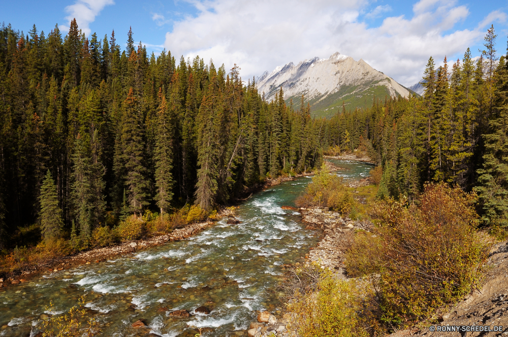 Jasper National Park Baum Wald Landschaft Berg Berge Park Bäume Bereich Pappel woody plant Herbst Himmel Reisen Fluss fallen Wasser im freien Hochland See Gras Szenerie Schnee Tourismus landschaftlich vascular plant Sommer natürliche Wildnis nationalen im freien Tal Hölzer Umgebung Pflanze Entwicklung des ländlichen Reflexion Wiese gelb friedliche Szene Holz Frühling Spitze Kiefer Saison Alpine sonnig Wolken Pfad idyllische Fels ruhige Straße Wild Wolke Landschaft Birke Belaubung Tag Blatt Jahreszeiten Wanderweg Wandern Land Blätter Stream Feld Teich Farbe Hügel Land Gletscher southern beech Landschaften hoch Panorama Stein Winter Orange Tourist Sonne Sonnenlicht Alpen Steigung Wanderung Erhaltung gelassene Urlaub Urlaub am Morgen Sonnenuntergang Waldland Creek malerische Aufstieg horizontale Frieden Wetter Branch tree forest landscape mountain mountains park trees range poplar woody plant autumn sky travel river fall water outdoors highland lake grass scenery snow tourism scenic vascular plant summer natural wilderness national outdoor valley woods environment plant rural reflection meadow yellow peaceful scene wood spring peak pine season alpine sunny clouds path idyllic rock tranquil road wild cloud countryside birch foliage day leaf seasons trail hiking country leaves stream field pond color hill land glacier southern beech scenics high panorama stone winter orange tourist sun sunlight alps slope hike conservation serene vacations vacation morning sunset woodland creek picturesque ascent horizontal peace weather branch