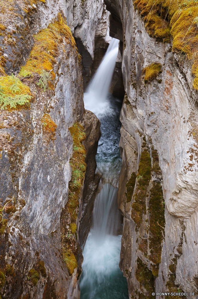 Jasper National Park Baum Wald woody plant Birke Eis Holz fallen Park vascular plant Bäume Pappel Landschaft Pflanze Kristall Rinde Herbst natürliche Kofferraum im freien Hölzer Blatt im freien Stein Fluss Saison Belaubung solide Branch Schalter Blätter Fels Farbe Wasser gelb Braun Textur Detail Struktur Szene Reisen Wasserfall alt Umgebung instrument of punishment Brunnen Schließen Stream kalt Tag Holz Schnee Eiche Sonnenlicht Berg Oberfläche aus Holz Grunge Winter Frühling See Rau nationalen Flora Zaun Creek Sonne landschaftlich Zweige Muster Licht Orange Eukalyptus Farben Wachstum Sommer Himmel Mauer Szenerie Gerät Material saisonale Golden fallen Bewuchs Bereich dunkel Ökologie silver tree am Morgen lebendige tree forest woody plant birch ice wood fall park vascular plant trees poplar landscape plant crystal bark autumn natural trunk outdoors woods leaf outdoor stone river season foliage solid branch switch leaves rock color water yellow brown texture detail structure scene travel waterfall old environment instrument of punishment fountain close stream cold day timber snow oak sunlight mountain surface wooden grunge winter spring lake rough national flora fence creek sun scenic branches pattern light orange eucalyptus colors growth summer sky wall scenery device material seasonal golden falling vegetation area dark ecology silver tree morning vibrant