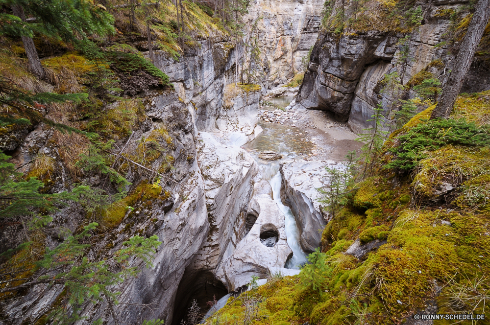 Jasper National Park Fluss Klippe Fels Wasserfall Wasser Landschaft Wald Schlucht Wildnis Baum Stream Stein Park Berg geologische formation Schlucht Umgebung Reisen Kaskade Creek Tal Strömung im freien fallen fließende im freien nationalen landschaftlich Wild Felsen natürliche Moos Bewegung fällt Tourismus Frühling Szenerie felsigen Sommer Berge platsch frisch Bäume Kanal Ökologie Pflanze friedliche fallen Steine nass See woody plant Reinigen Abenteuer Körper des Wassers Wandern gelassene Wasserfälle Cliff-Wohnung Land natürliche depression Wanderung plantschen frische Luft Blatt ruhige vascular plant Busch Himmel Hölzer Herbst Erhaltung klar Szene glatte Wohnung Urlaub Belaubung Geschwindigkeit Erholung rasche Flüsse Entwicklung des ländlichen Teich Gras Paradies Baumstumpf Branch Drop SWIFT Kühl üppige Holz Reflexion Gehäuse Stromschnellen Klippen kalt erfrischende tief Bereich Reise Hügel entspannende river cliff rock waterfall water landscape forest canyon wilderness tree stream stone park mountain geological formation ravine environment travel cascade creek valley flow outdoor fall flowing outdoors national scenic wild rocks natural moss motion falls tourism spring scenery rocky summer mountains splash fresh trees channel ecology plant peaceful falling stones wet lake woody plant clean adventure body of water hiking serene waterfalls cliff dwelling country natural depression hike splashing freshness leaf tranquil vascular plant bush sky woods autumn conservation clear scene smooth dwelling vacation foliage speed recreation rapid rivers rural pond grass paradise snag branch drop swift cool lush wood reflection housing rapids cliffs cold refreshing deep area trip hill relaxing