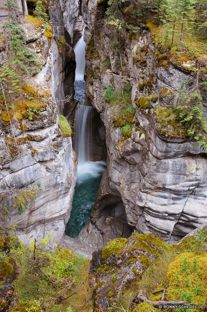 Jasper National Park Fluss Wasser Fels Landschaft Wasserfall Baum Wald Stream Stein Park Berg im freien Creek fallen Reisen landschaftlich Wild Umgebung natürliche Moos Felsen fließende Frühling Herbst Schlucht Bäume im freien Mauer Strömung friedliche Berge Kaskade Bewegung woody plant nass felsigen Wandern Wildnis fällt frisch Reinigen Tourismus nationalen Szenerie Sommer Pflanze platsch Drop Steine Blätter Belaubung glatte fallen bunte gelassene Szene vascular plant frische Luft Saison Blatt Schlucht ruhige Tag Entwicklung des ländlichen Land Garten klar Ökologie See Steinmauer Tal Hölzer gelb Eiche entspannende Brücke Klippe Urlaub Grab kalt Struktur Farbe Wasserfälle rasche Flüsse Wanderung Farben Zaun plantschen üppige Orange Bewegung Kühl Barrier seidige Gedenkstätte Kanal Extreme Abenteuer Birke Ruhe Erholung Sonne Gras Felsblock Bereich sonnig außerhalb Postkarte erfrischende Landschaft Frieden Körper des Wassers river water rock landscape waterfall tree forest stream stone park mountain outdoor creek fall travel scenic wild environment natural moss rocks flowing spring autumn canyon trees outdoors wall flow peaceful mountains cascade motion woody plant wet rocky hiking wilderness falls fresh clean tourism national scenery summer plant splash drop stones leaves foliage smooth falling colorful serene scene vascular plant freshness season leaf ravine tranquil day rural country garden clear ecology lake stone wall valley woods yellow oak relaxing bridge cliff vacation grave cold structure color waterfalls rapid rivers hike colors fence splashing lush orange movement cool barrier silky memorial channel extreme adventure birch calm recreation sun grass boulder area sunny outside postcard refreshing countryside peace body of water